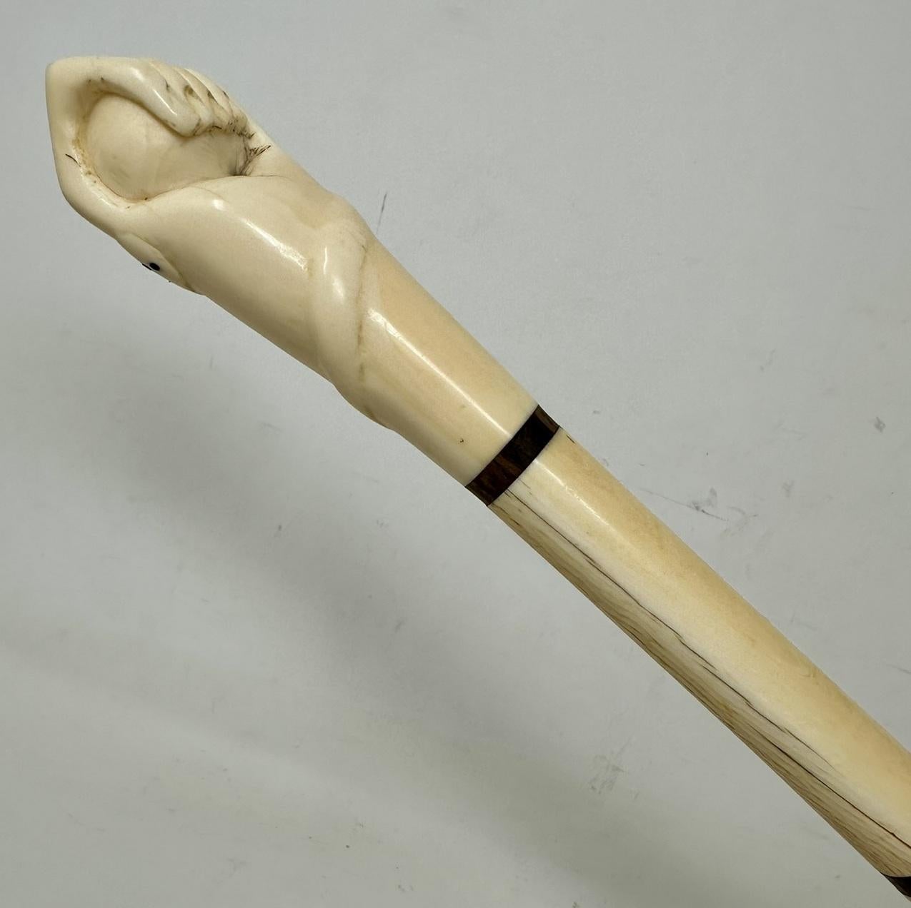 Antiker viktorianischer Vintage Elfenbein Bovine Walknochen gehender Swagger Stick Schilfrohr   (Britisch) im Angebot