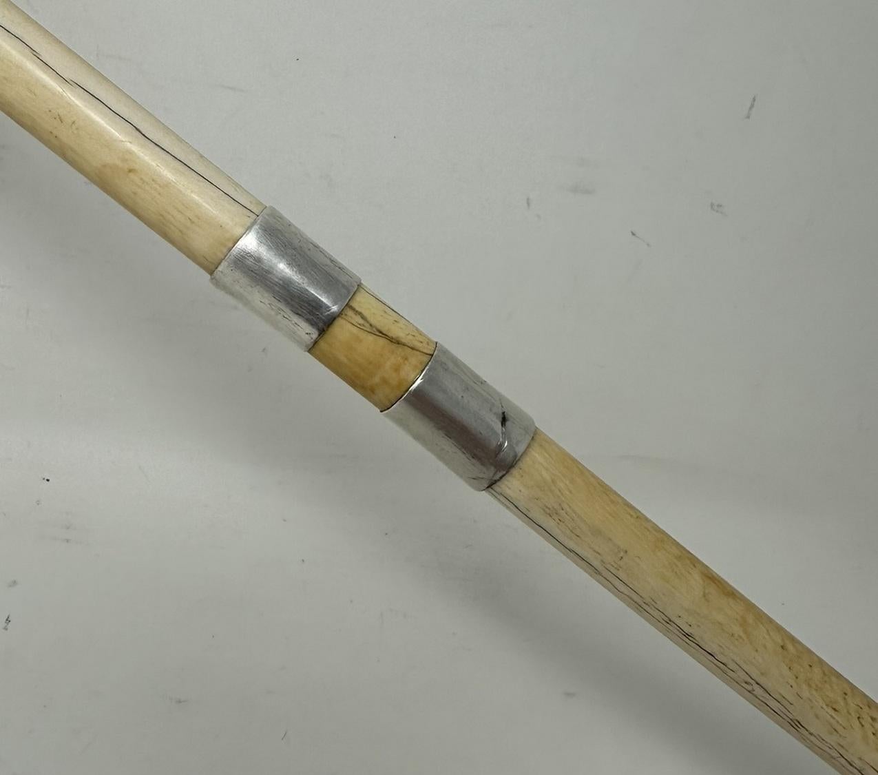 19th Century Antique Victorian Vintage Ivory Bovine Whale Bone Walking Swagger Stick Cane   For Sale