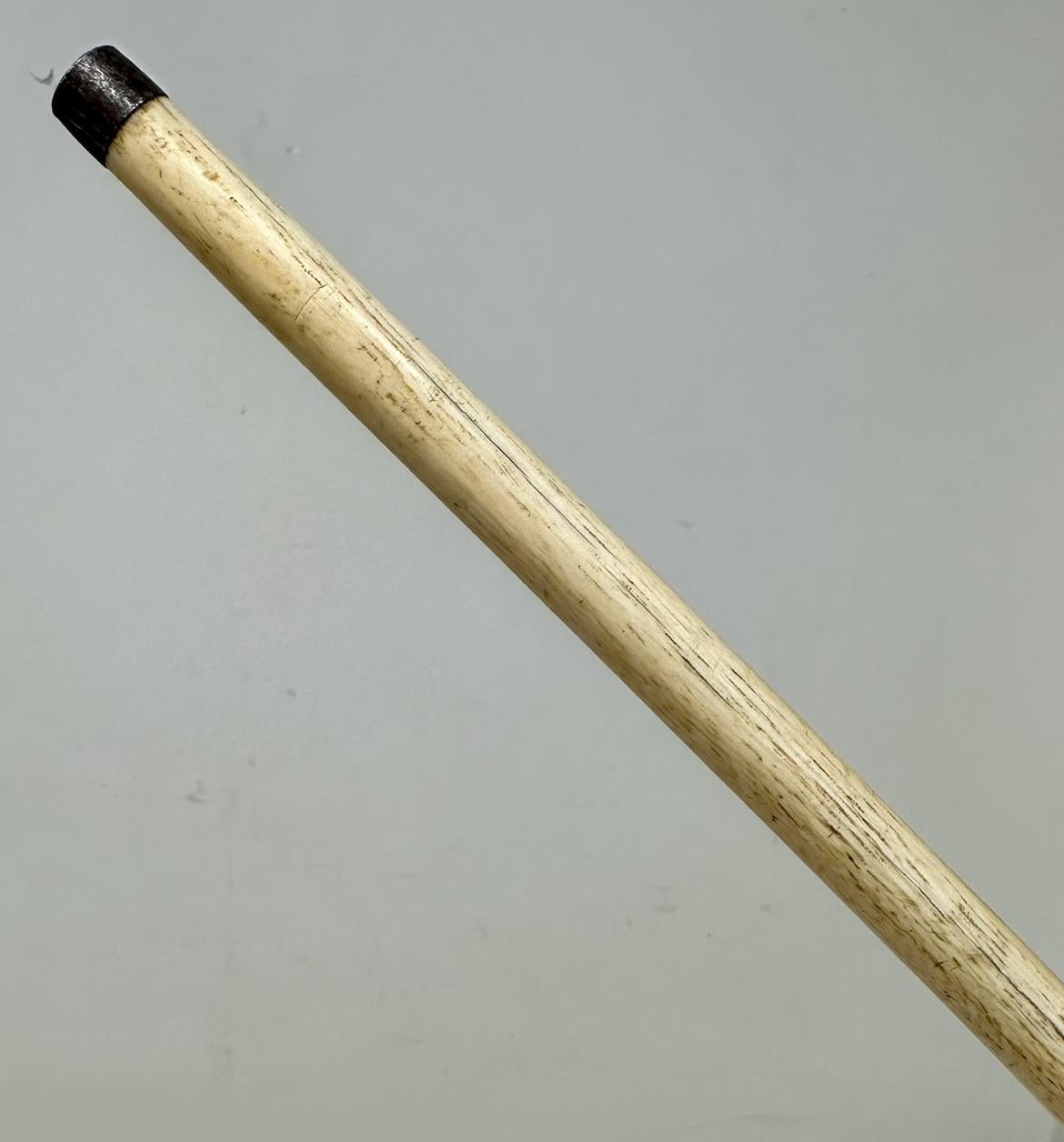 Antiker viktorianischer Vintage Elfenbein Bovine Walknochen gehender Swagger Stick Schilfrohr   (Horn) im Angebot