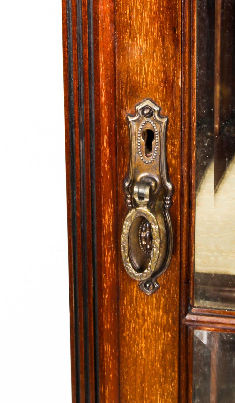 Antique Victorian Vitrine Display 19th Century at 1stDibs