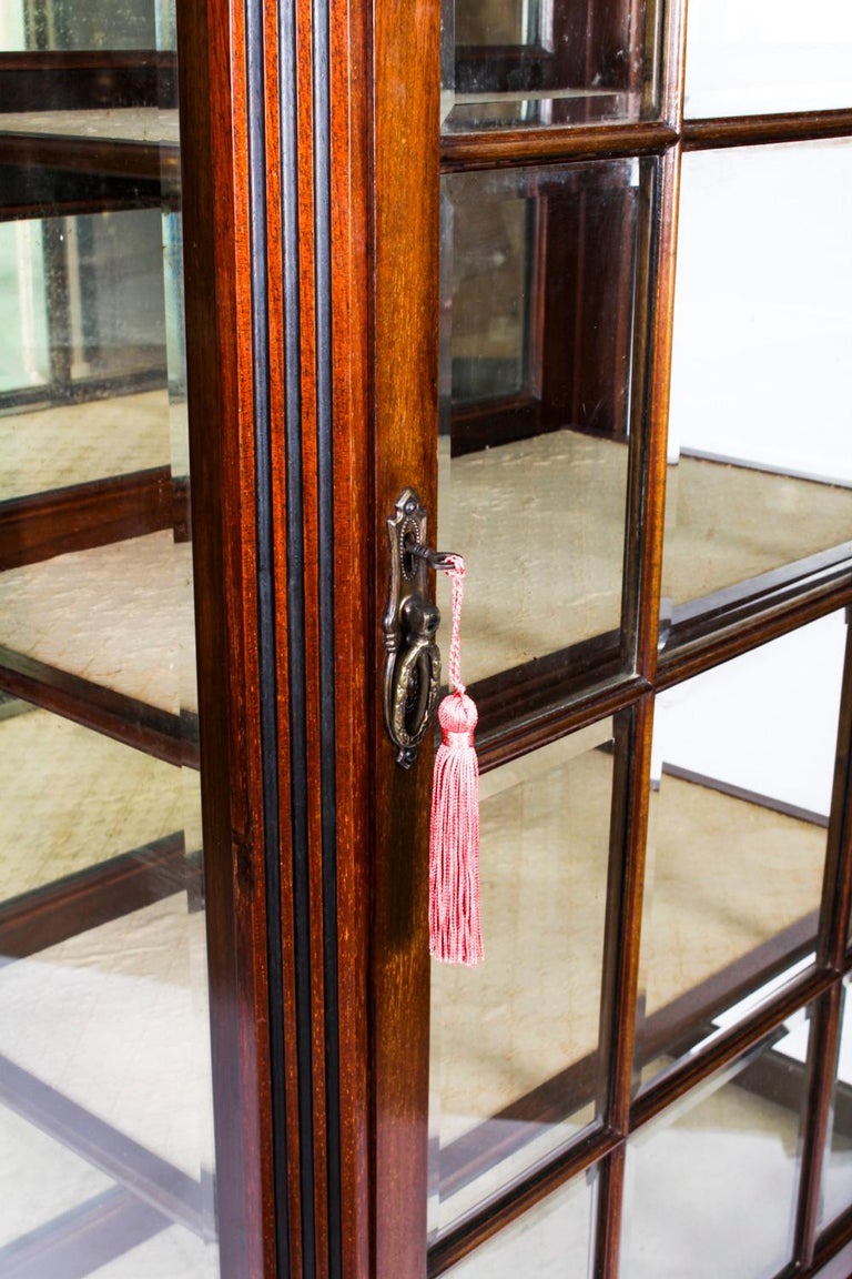 Antique Victorian Vitrine Display 19th Century at 1stDibs