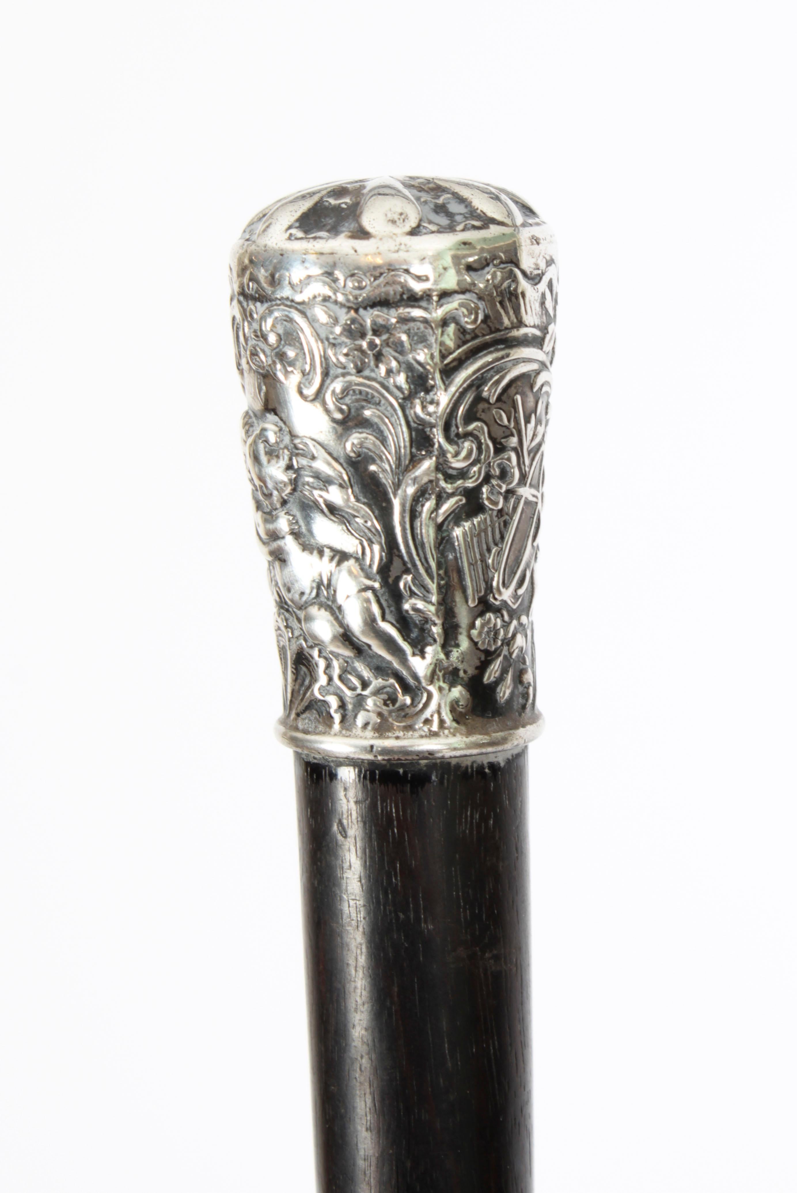 English Antique Victorian Walking Stick Cane Silvered Pommel Dated 1894