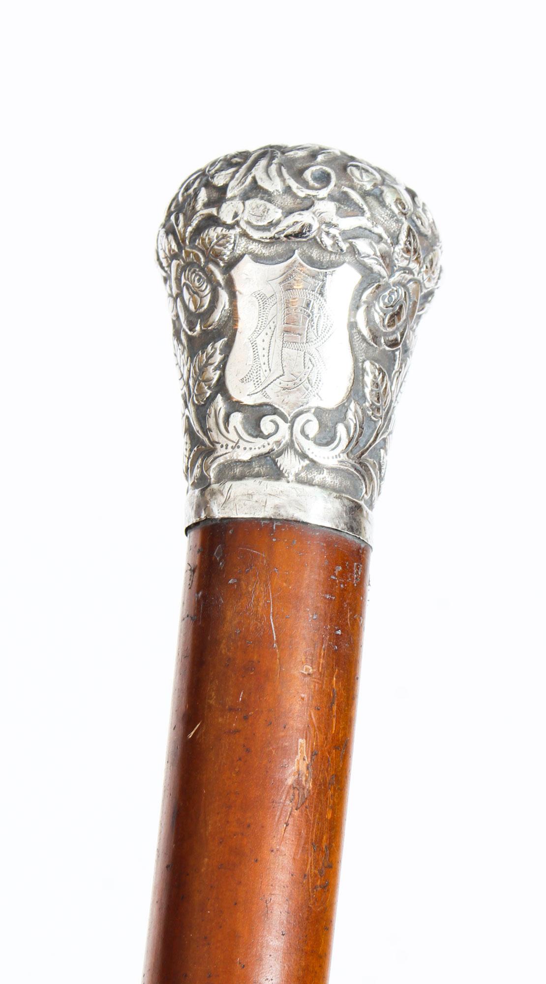 Antique Victorian Walking Stick Cane with Sterling Silver Pommel, 19th Century 2