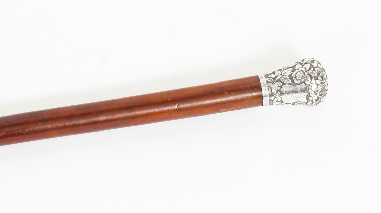 Antique Victorian Walking Stick Cane with Sterling Silver Pommel, 19th Century 1
