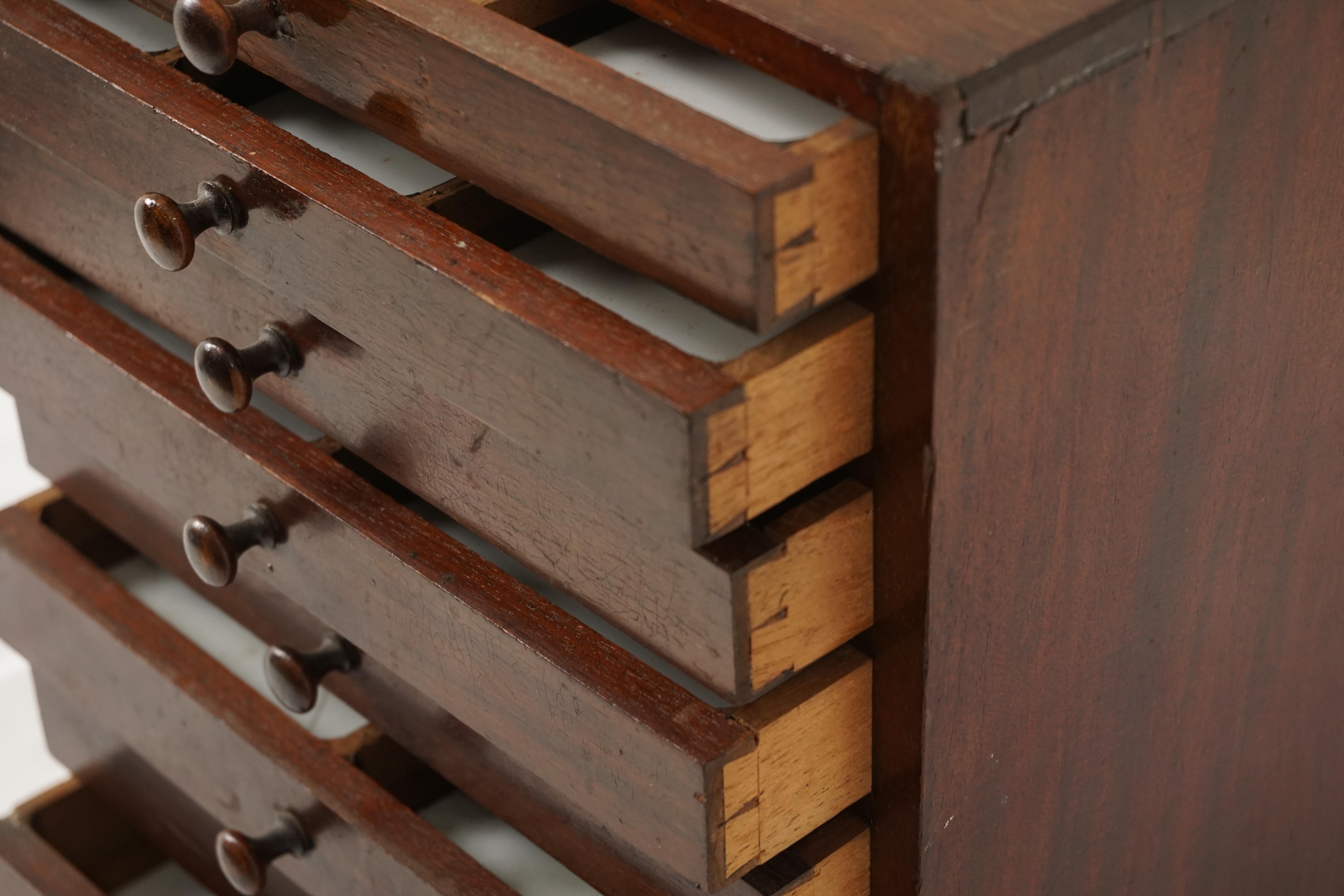 Antique Victorian Walnut Collectors Cabinet, Apothecary, Scotland 1890, B36y In Good Condition In Vancouver, BC