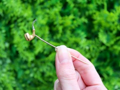 Antique Victorian Yellow Gold and Platinum Pipe Pin Brooch