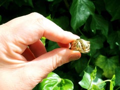 Antique Victorian Yellow Gold Snake Cocktail  Ring