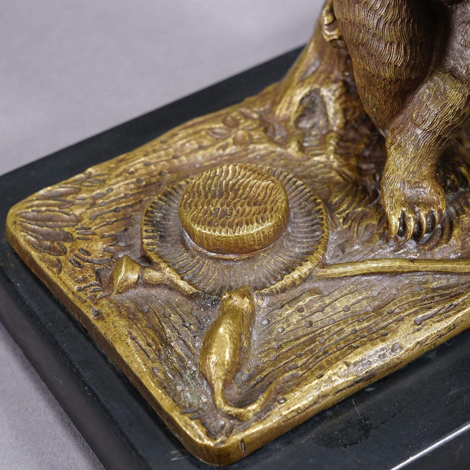 Ours en bronze antique de Vienna Bronze avec couverture en vente 1