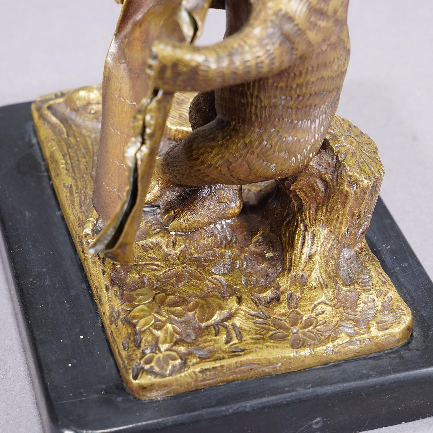 Ours en bronze antique de Vienna Bronze avec couverture en vente 2