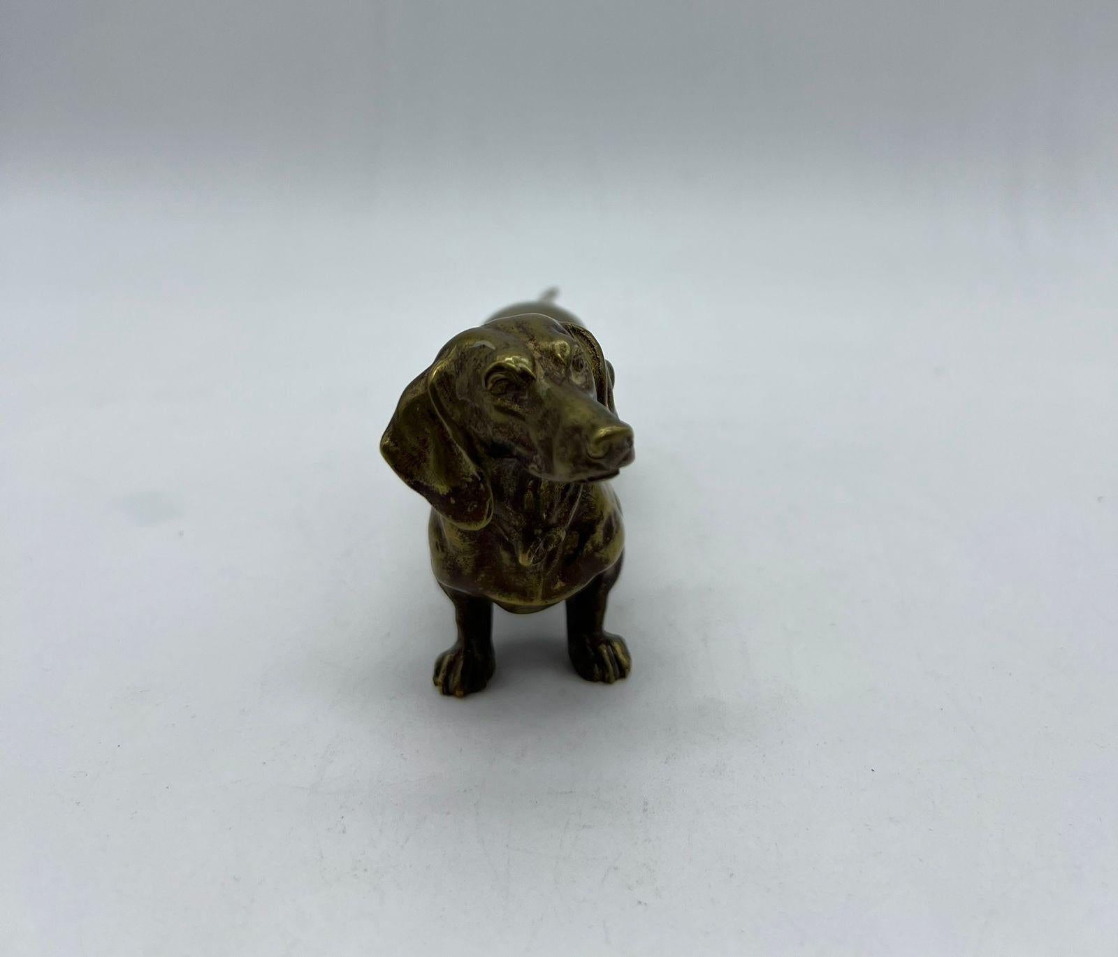 daschund price