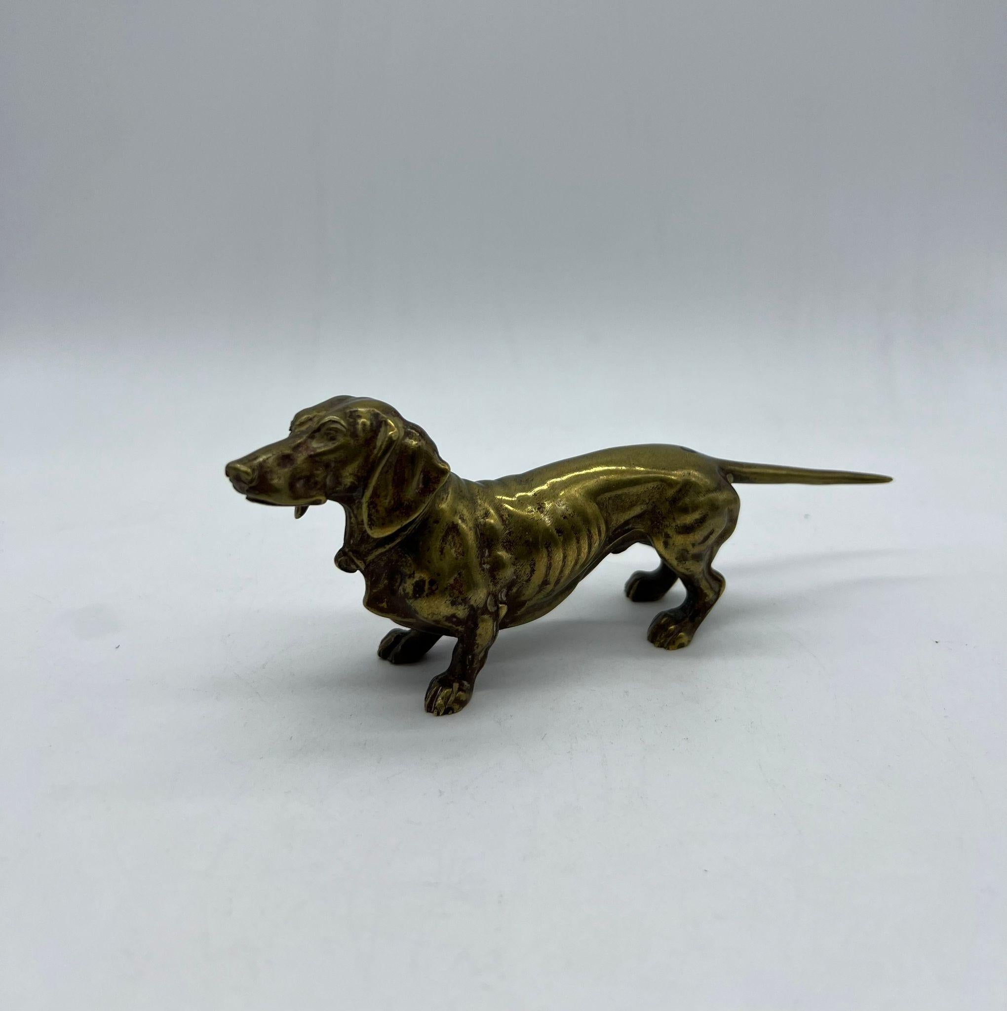 dachshund price