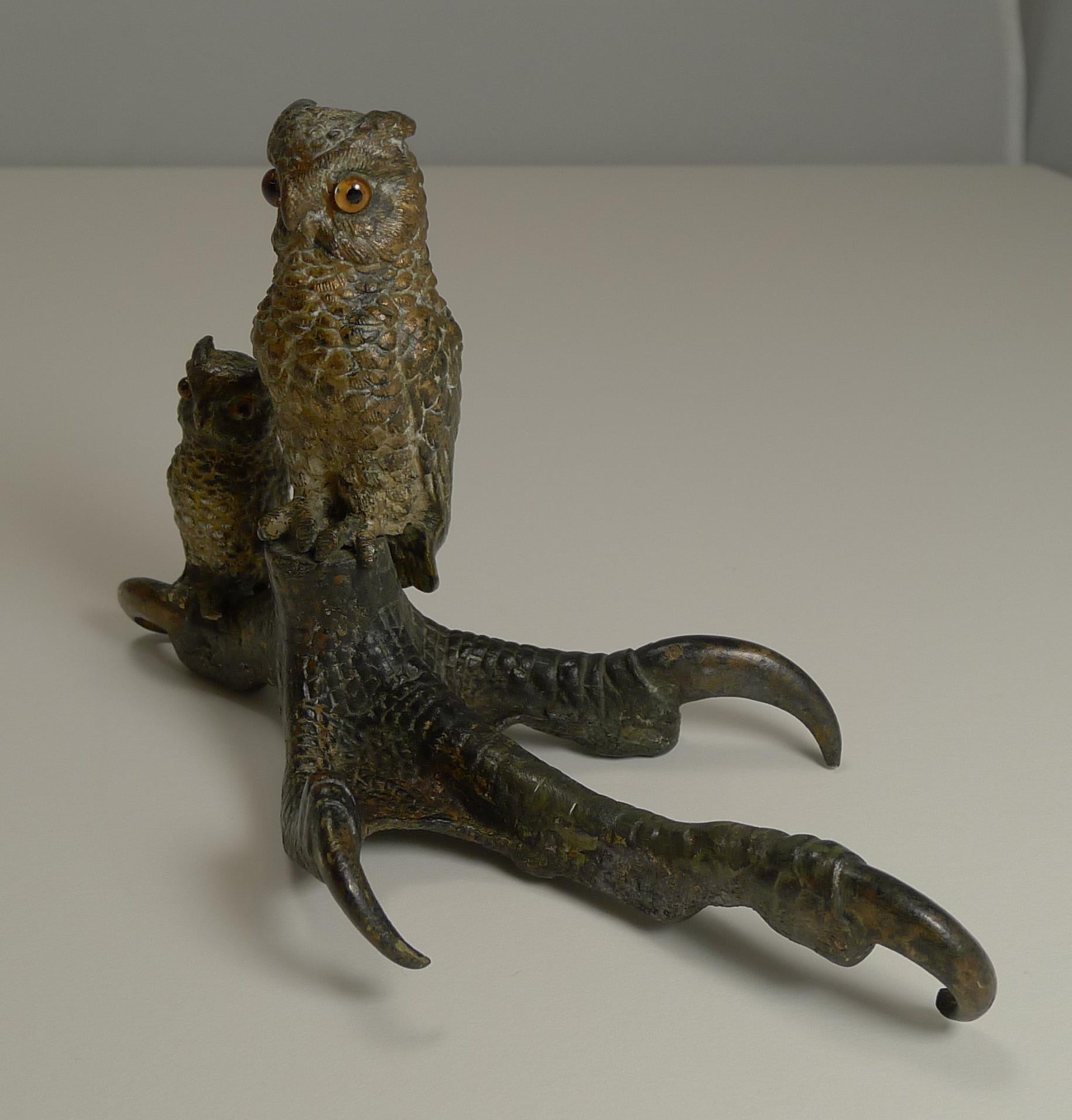 A really charming Austrian figural bronze, with an adult and young Owl both sitting on a large Owls foot.

Both have glass eyes and the piece remains in excellent condition measuring 6 1/2