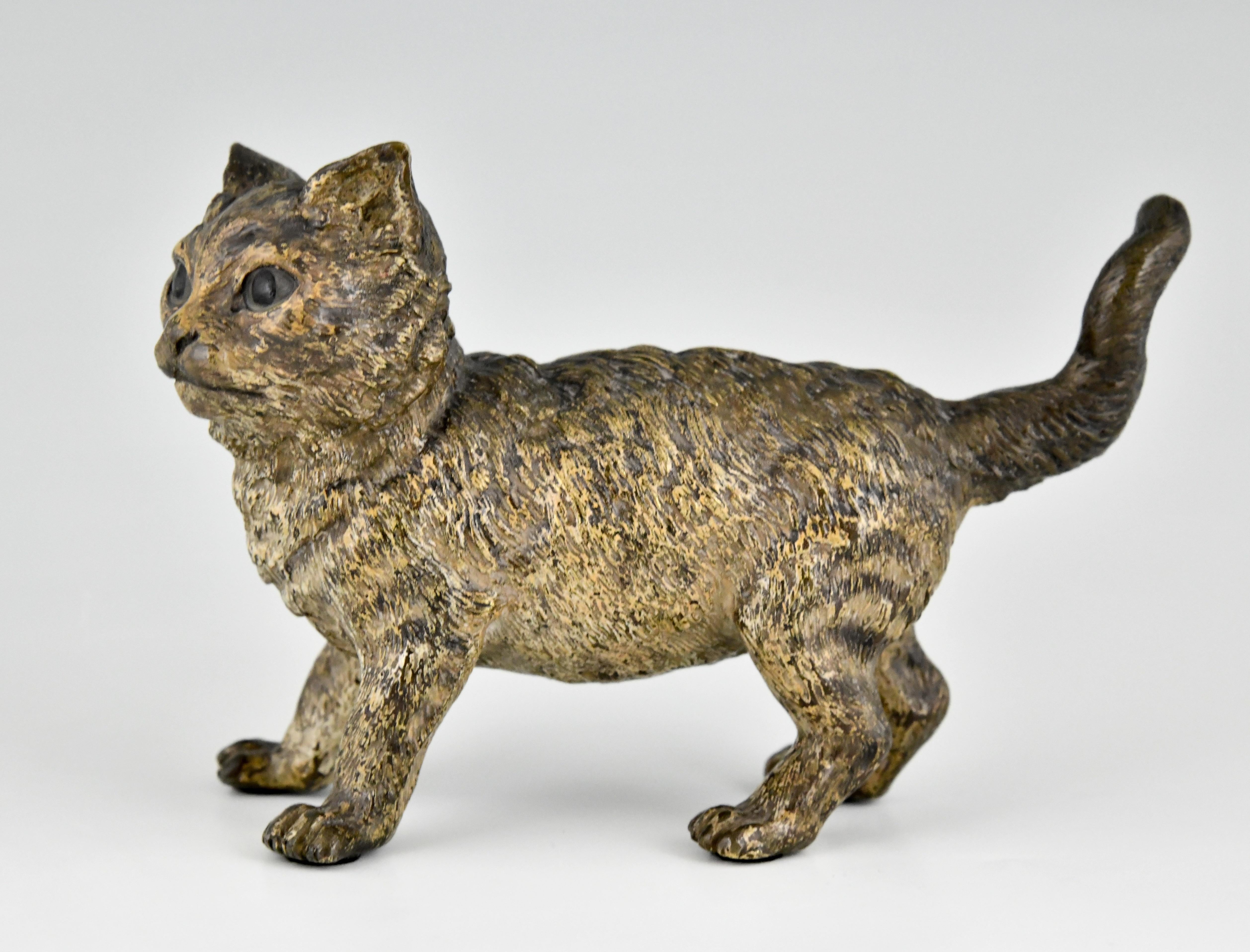 Antique Vienna bronze sculpture of a cat by Bergman.
Stamped FB and Geschutzt. Cold painted patina.
This model is illustrated in “Antique Vienna bronzes“ by Joseph Zobel. Schiffer. 
More information: “Bronzes de Vienne” by Ernest Hrabalek, les