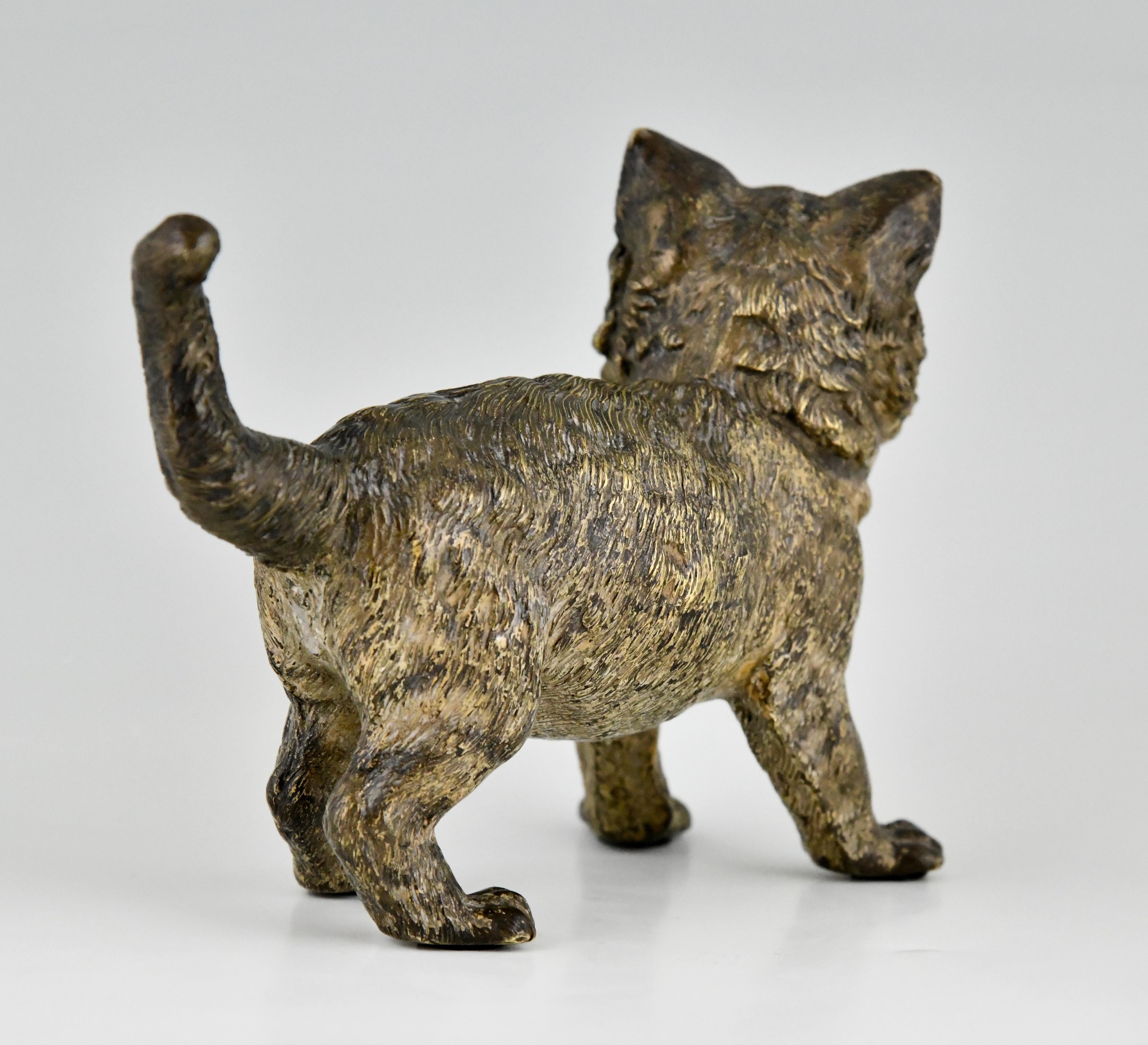 Antike Wiener Bronzeskulptur einer Katze von Bergman, Österreich, ca. 1900 (Frühes 20. Jahrhundert) im Angebot