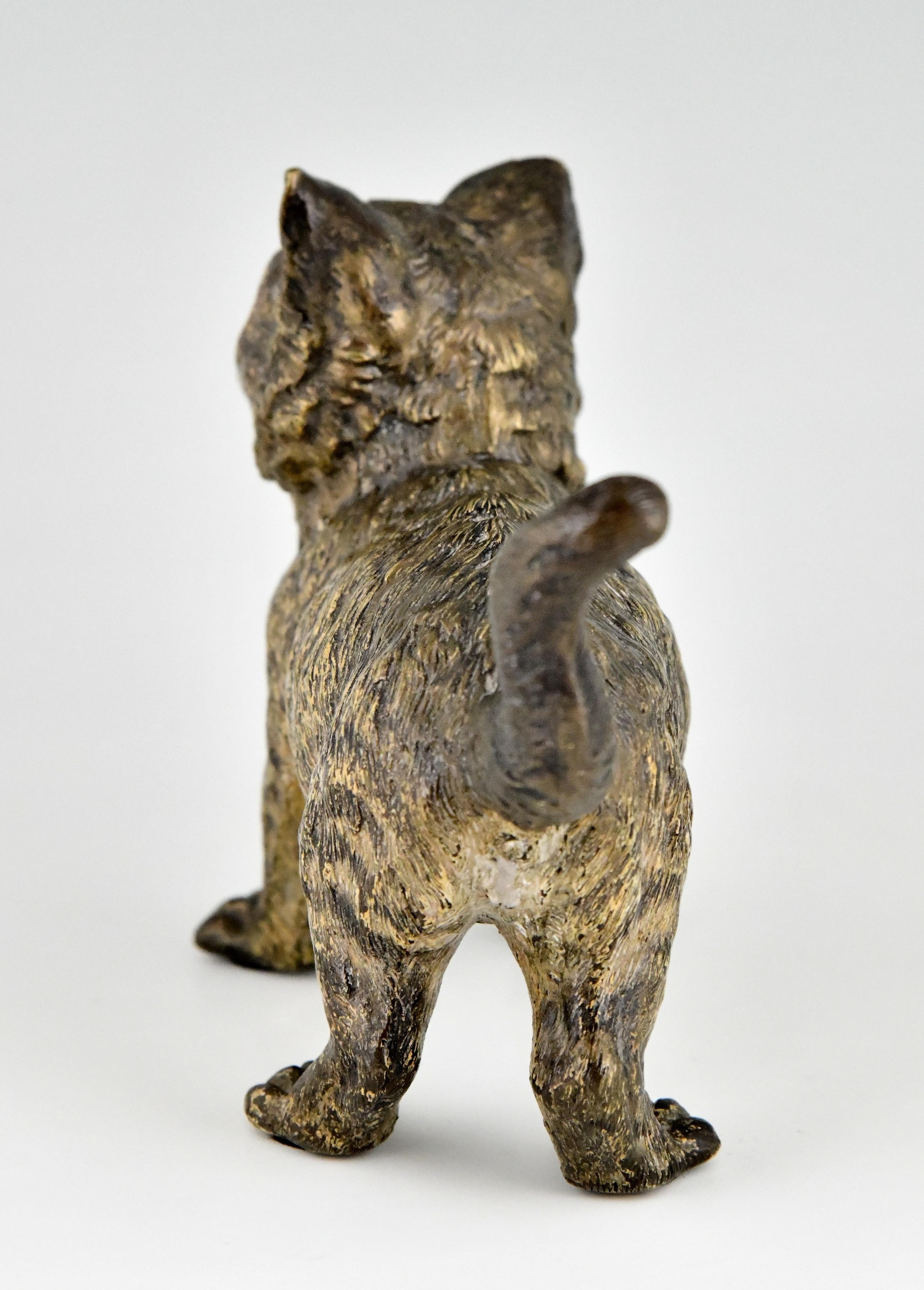 Cold-Painted Antique Vienna Bronze Sculpture of a Cat by Bergman, Austria, ca. 1900