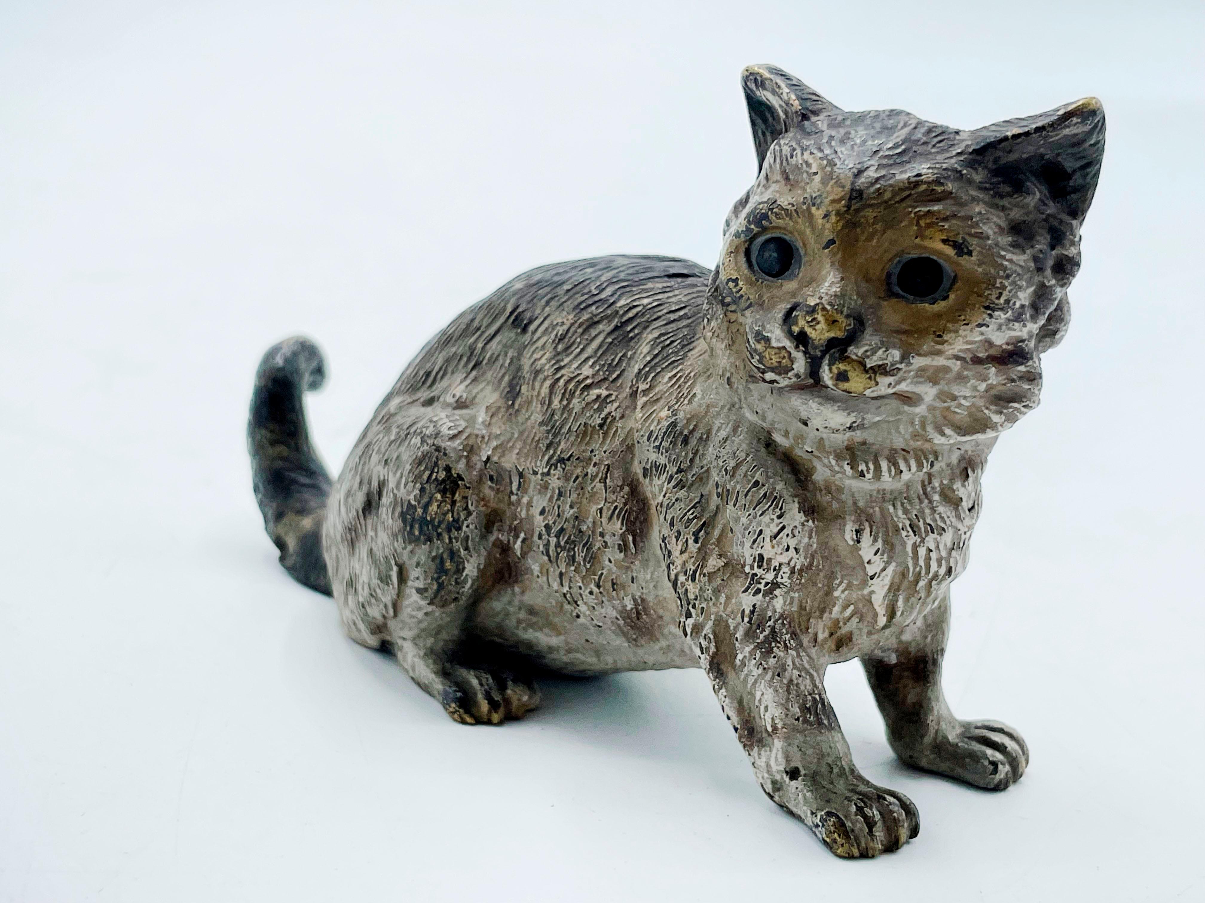bronze tabby cat