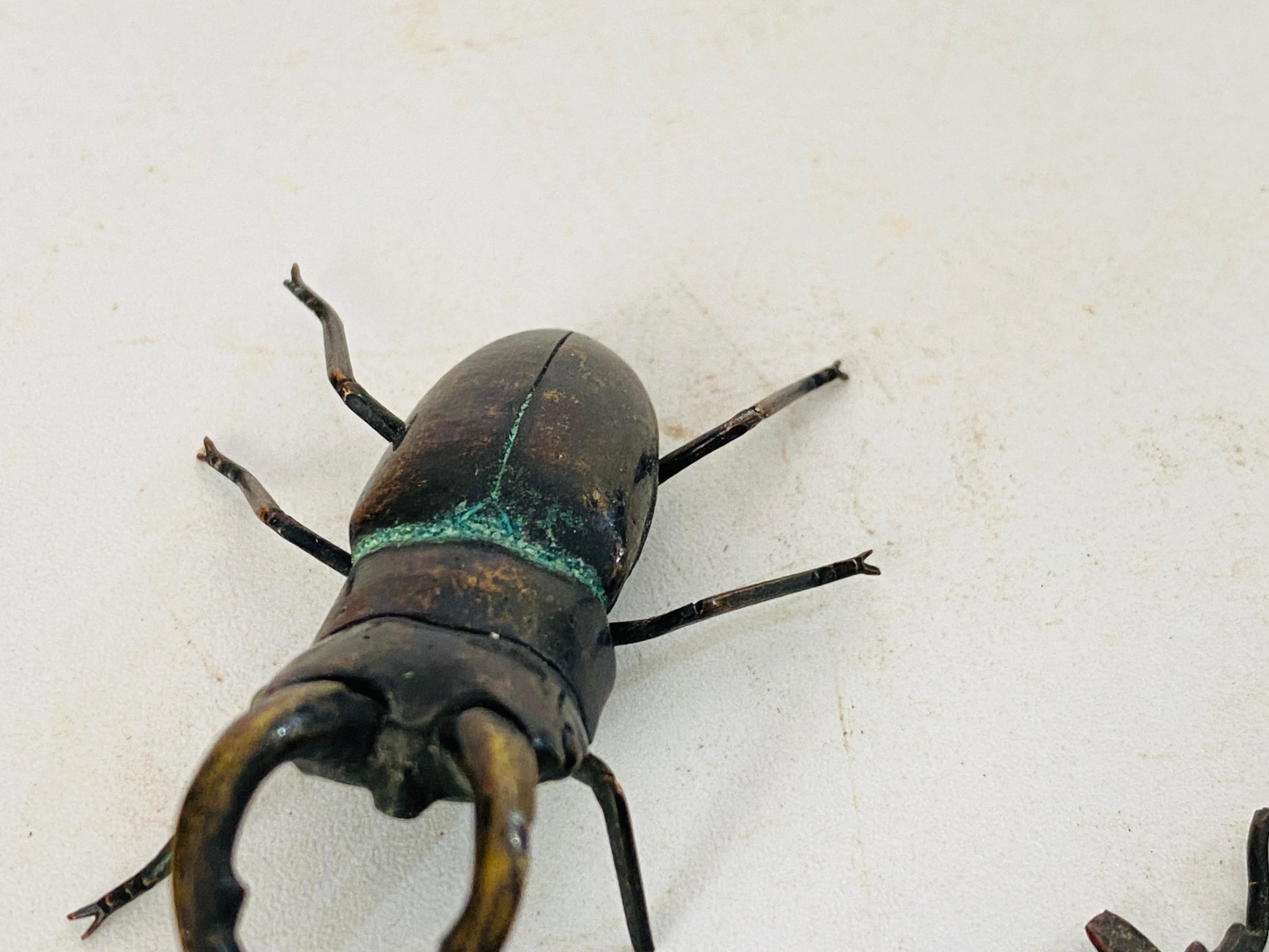 Antique Vienna Bronze Sculpture of  Beetles in Bergman Style Austria Set of 2 For Sale 1