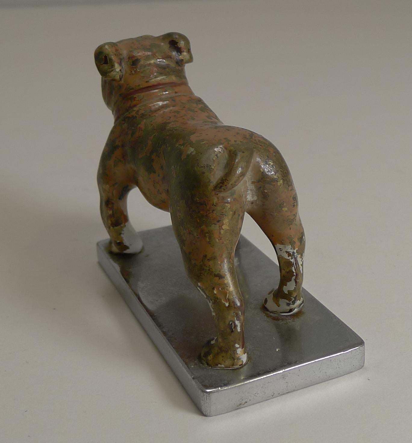 Antiker Wiener Boxerhund aus Bronze, kalt bemalt, um 1900, Auto-Maskottchen im Zustand „Gut“ im Angebot in Bath, GB