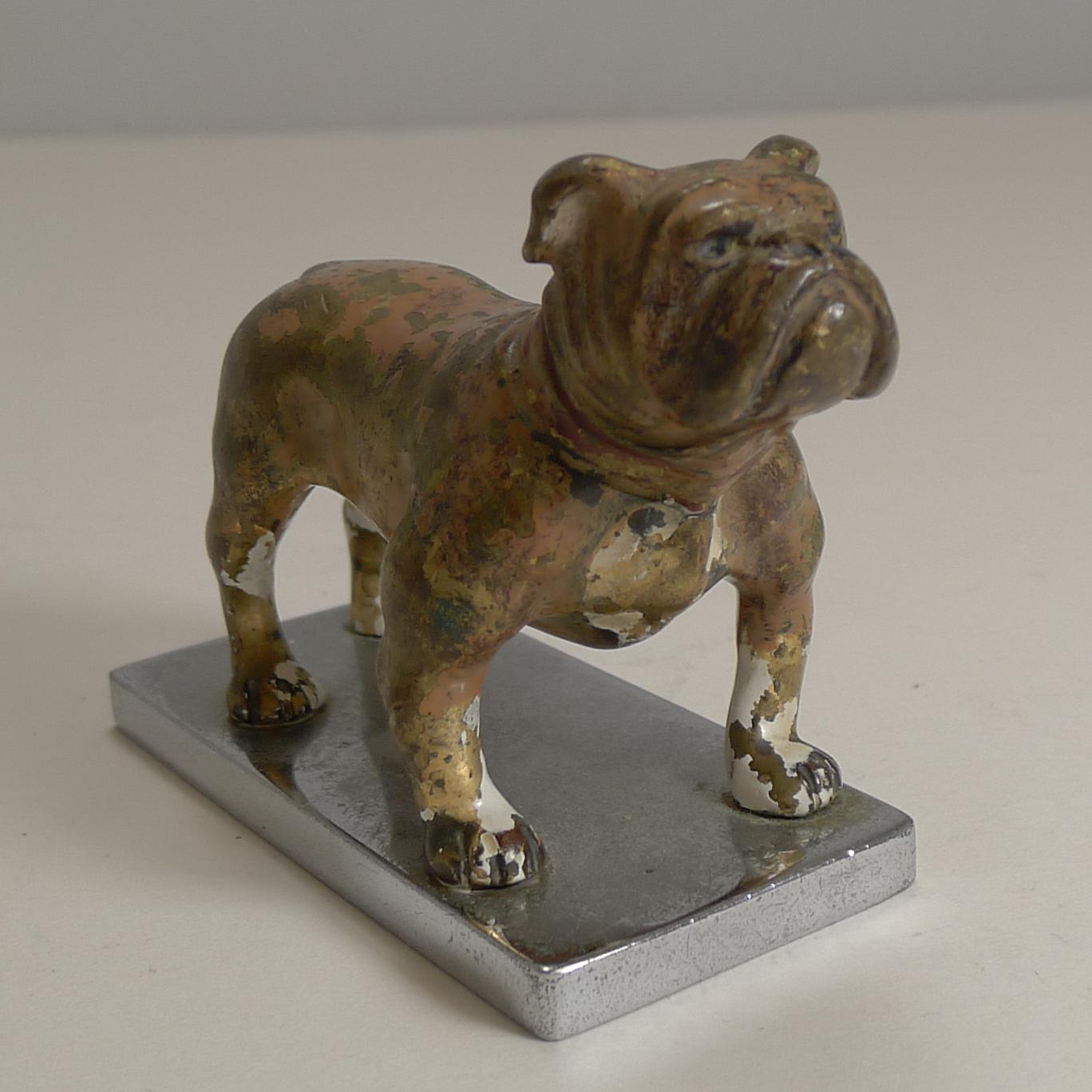 Antiker Wiener Boxerhund aus Bronze, kalt bemalt, um 1900, Auto-Maskottchen im Angebot 1