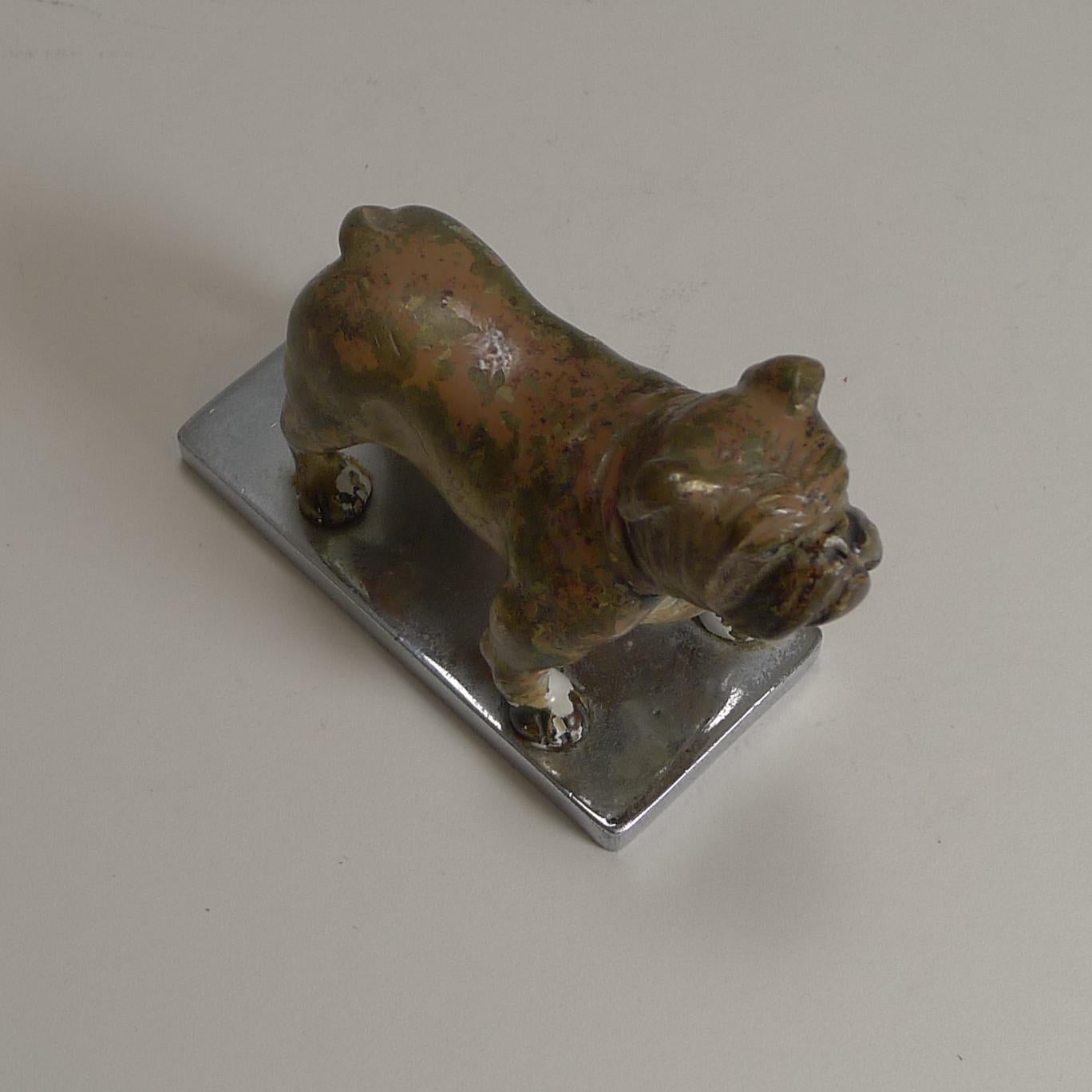 Antiguo Perro Boxer de Bronce Pintado en Frío de Viena circa 1900, Mascota de Coche 2