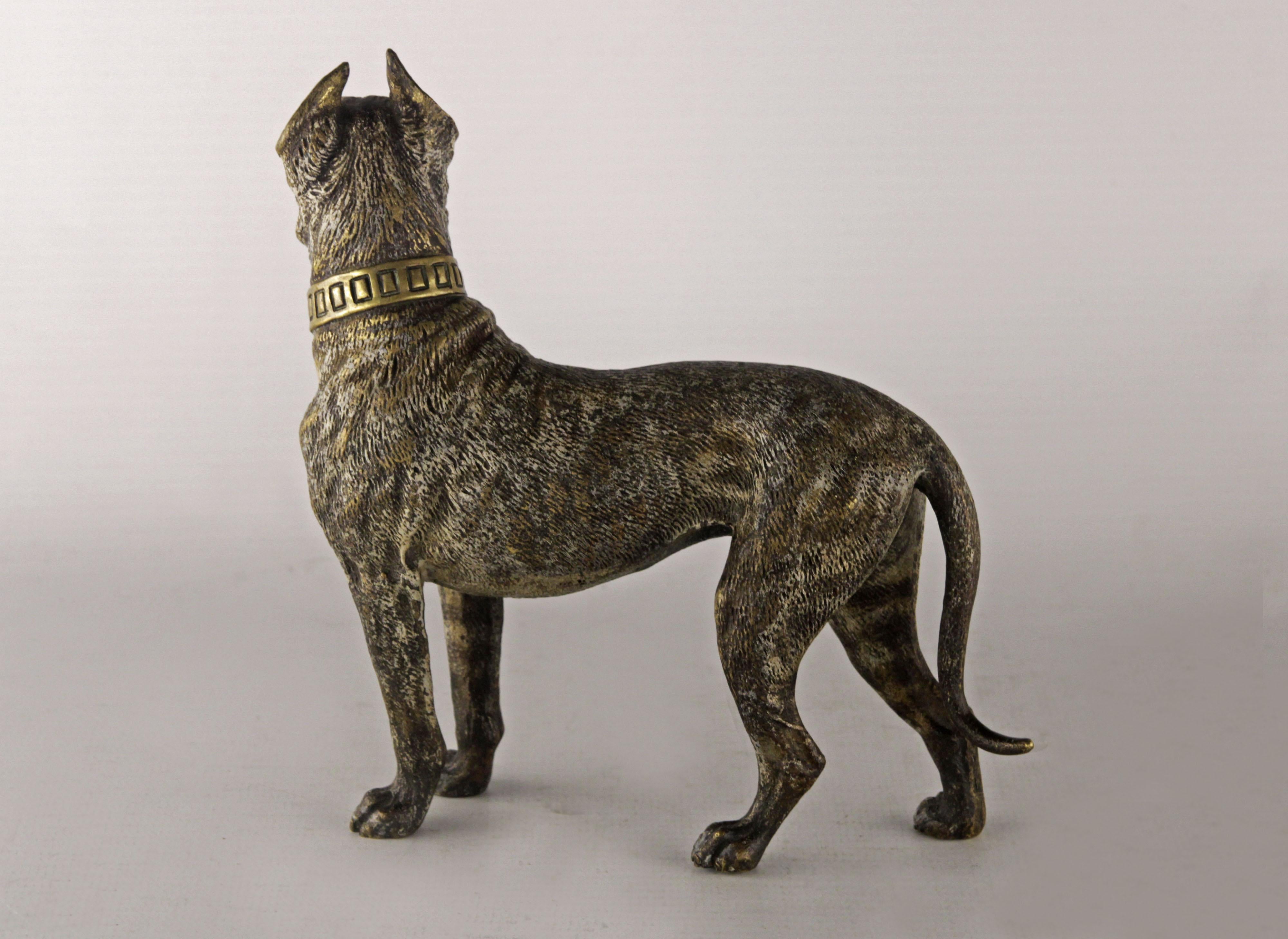 Antique Viennese bronze dog
Circa 1920 Origin Austria
Perfect condition (natural wear)
original patina
Antique Vienna Bronze figure of a Great Dane

From the Viennese workshops came small chiseled and polychrome bronze figures that achieved great