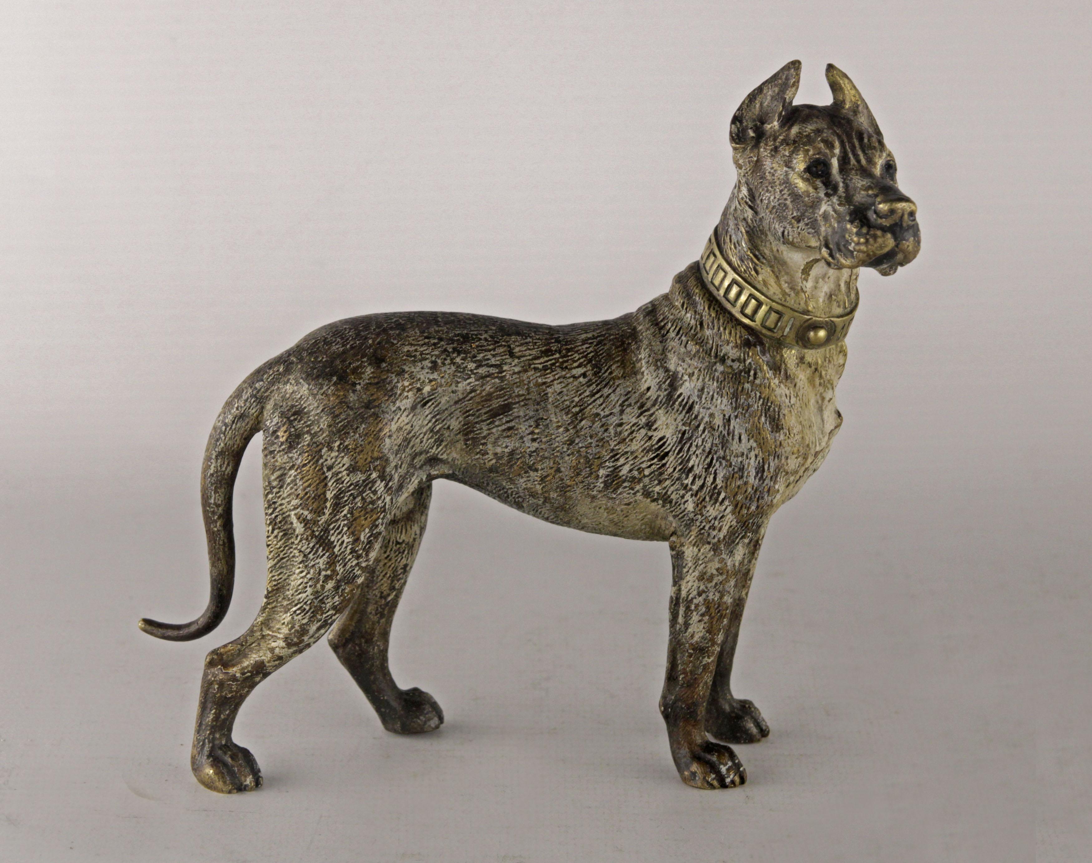 Antique Viennese Bronze Dog In Good Condition In Buenos Aires, Argentina