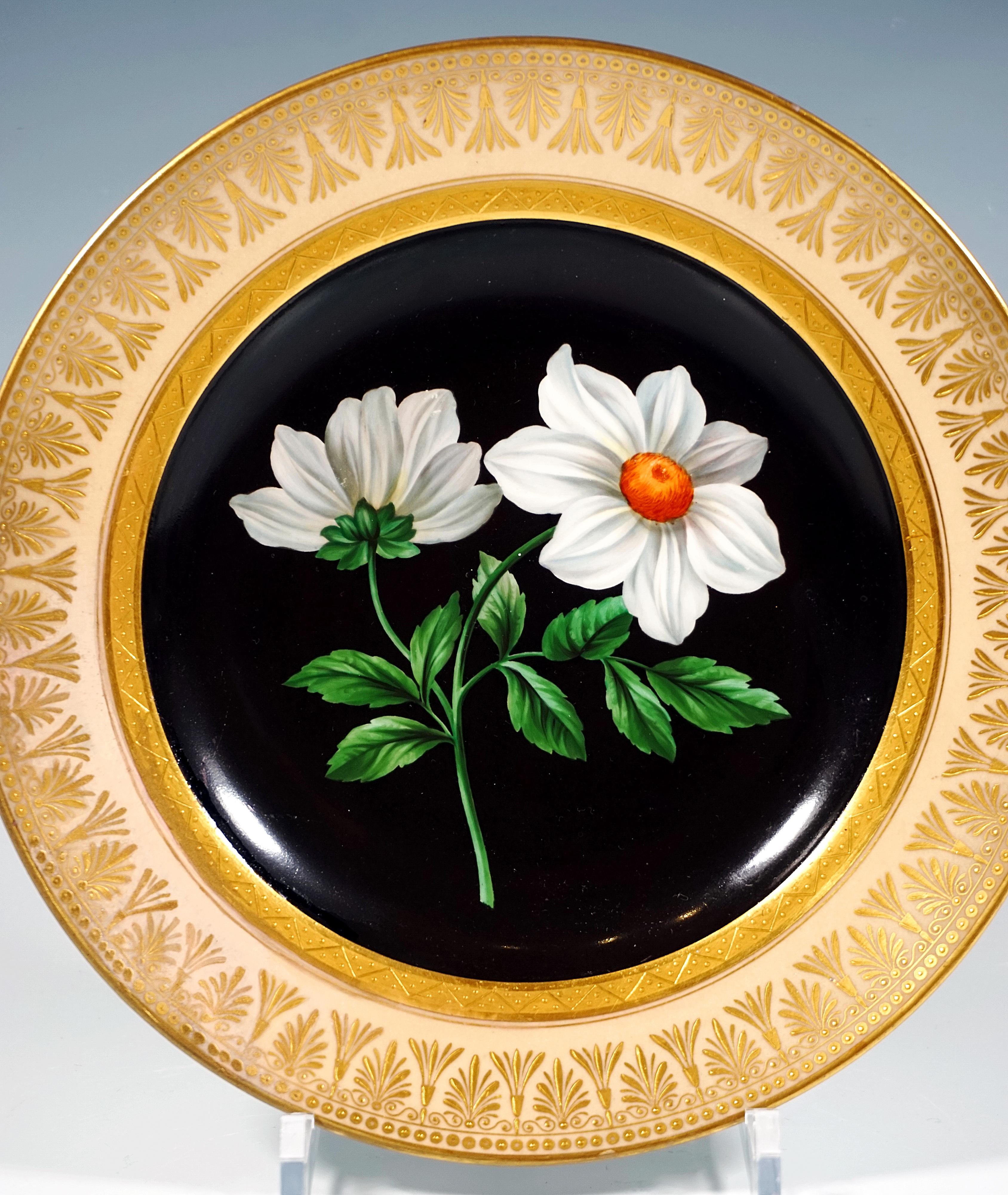 Plato de porcelana con ilustración botánica pintada y policromada:
En el centro, una flor de dalia blanca finamente pintada con un tallo y panículas de hojas sobre fondo negro.
El borde es de color salmón con una ancha orla dorada con decoración