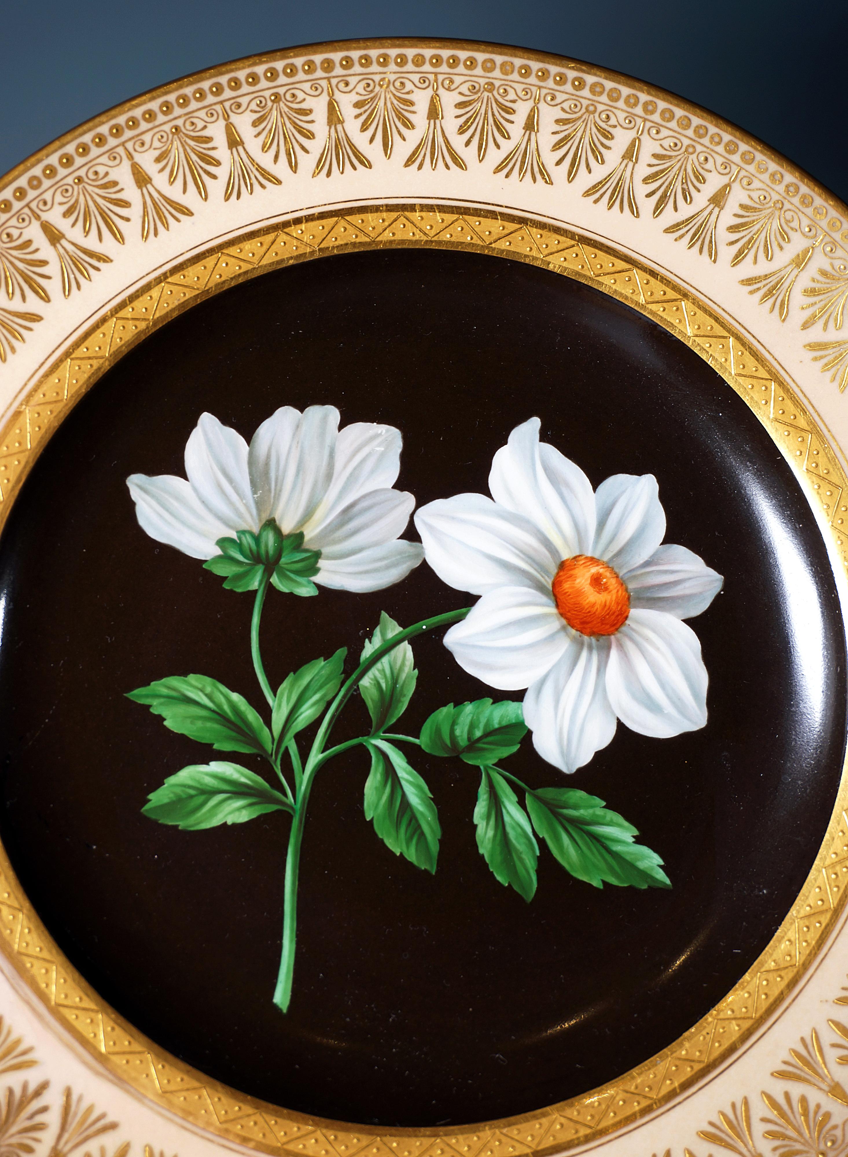 Porcelana imperial vienesa antigua, Plato Esplendor Botánico, 