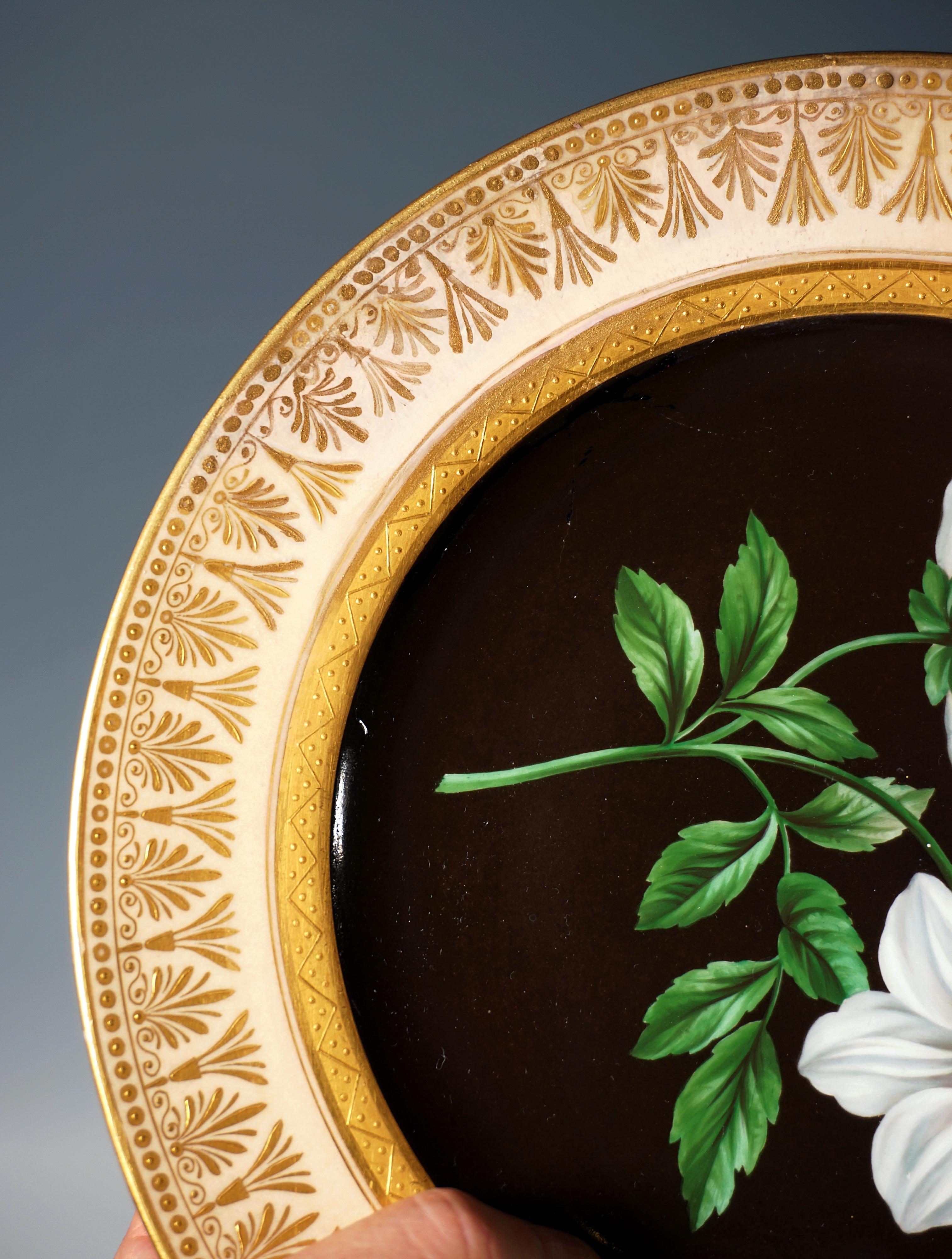 Porcelana imperial vienesa antigua, Plato Esplendor Botánico, 