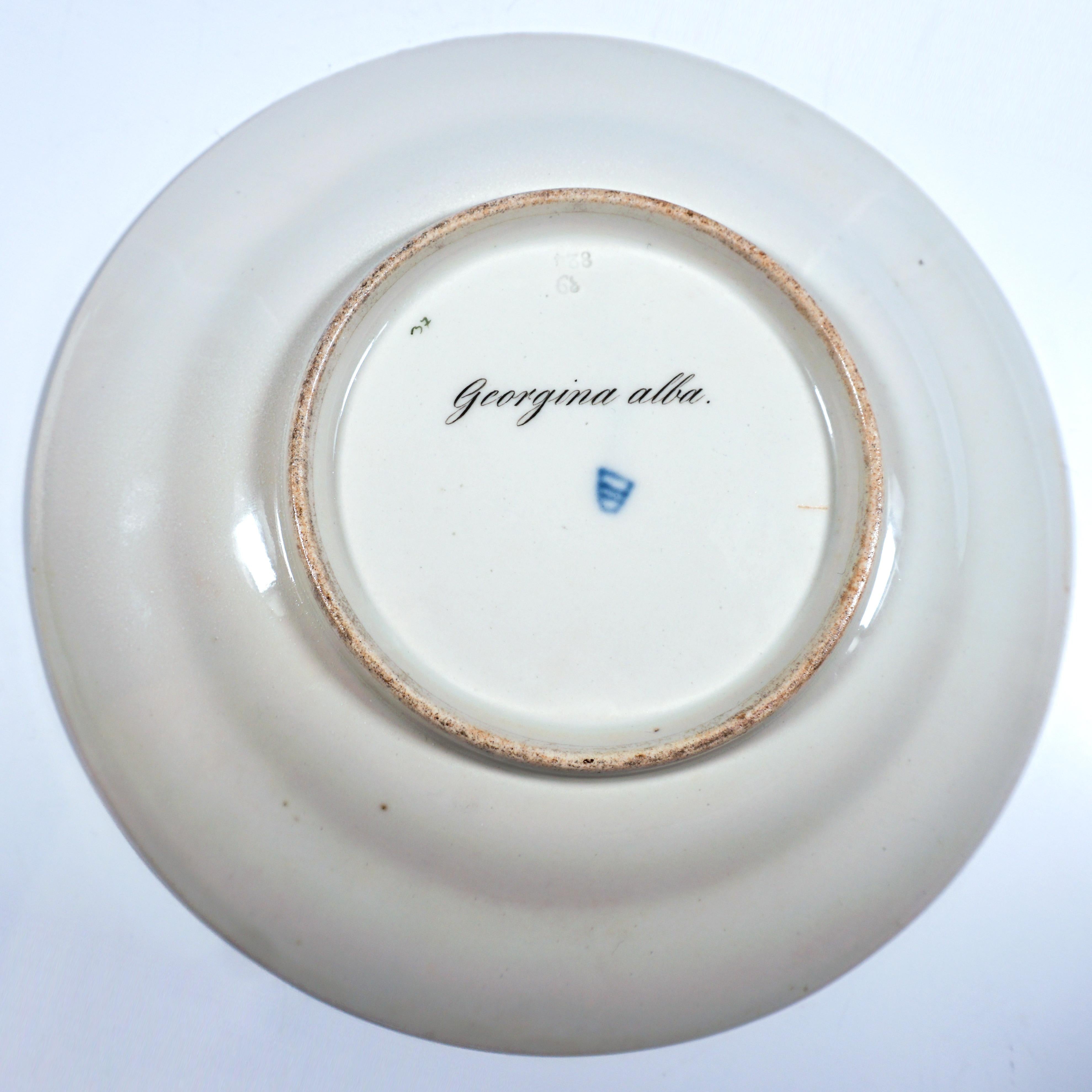 Porcelana imperial vienesa antigua, Plato Esplendor Botánico, 