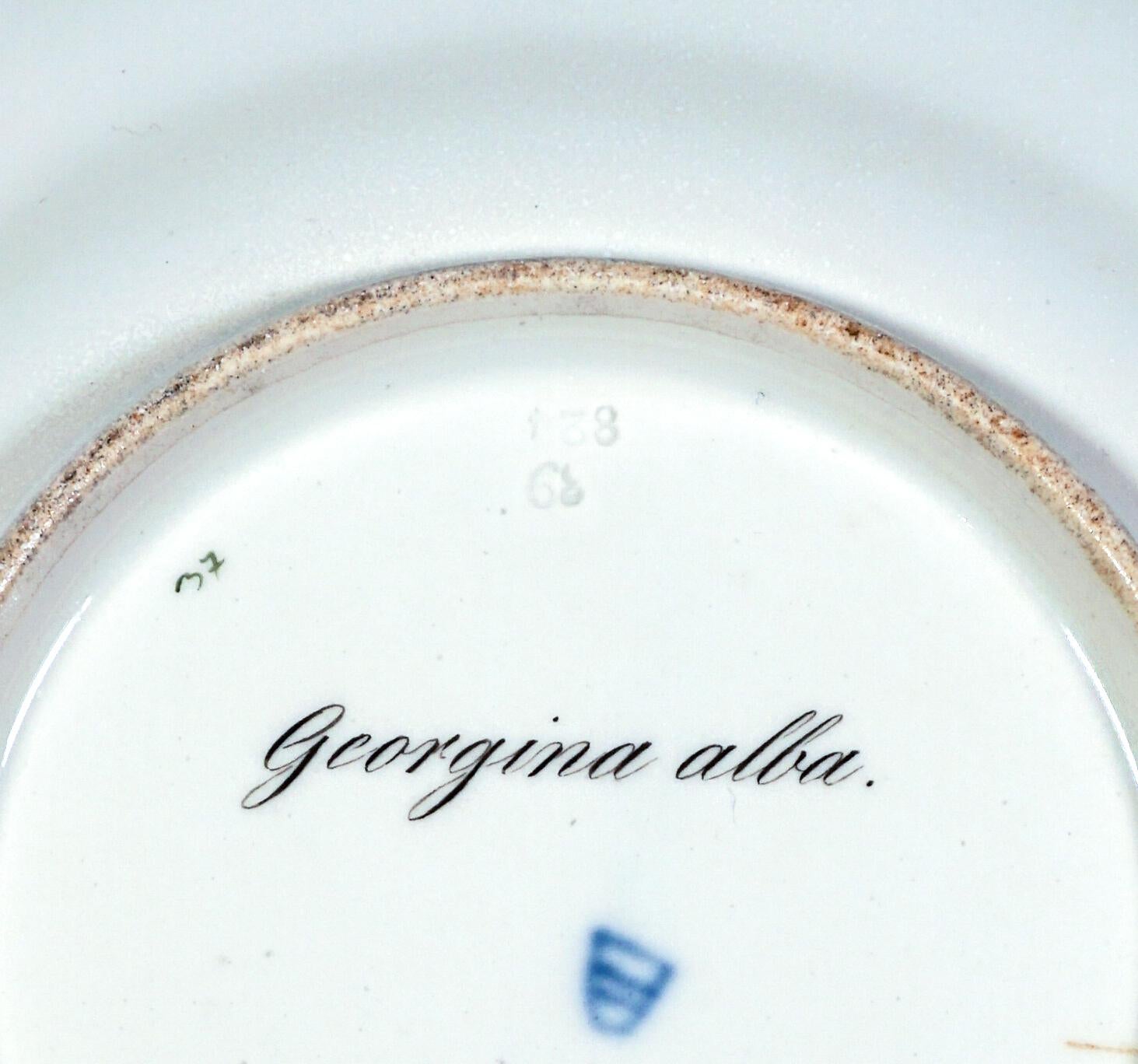 Porcelana imperial vienesa antigua, Plato Esplendor Botánico, 
