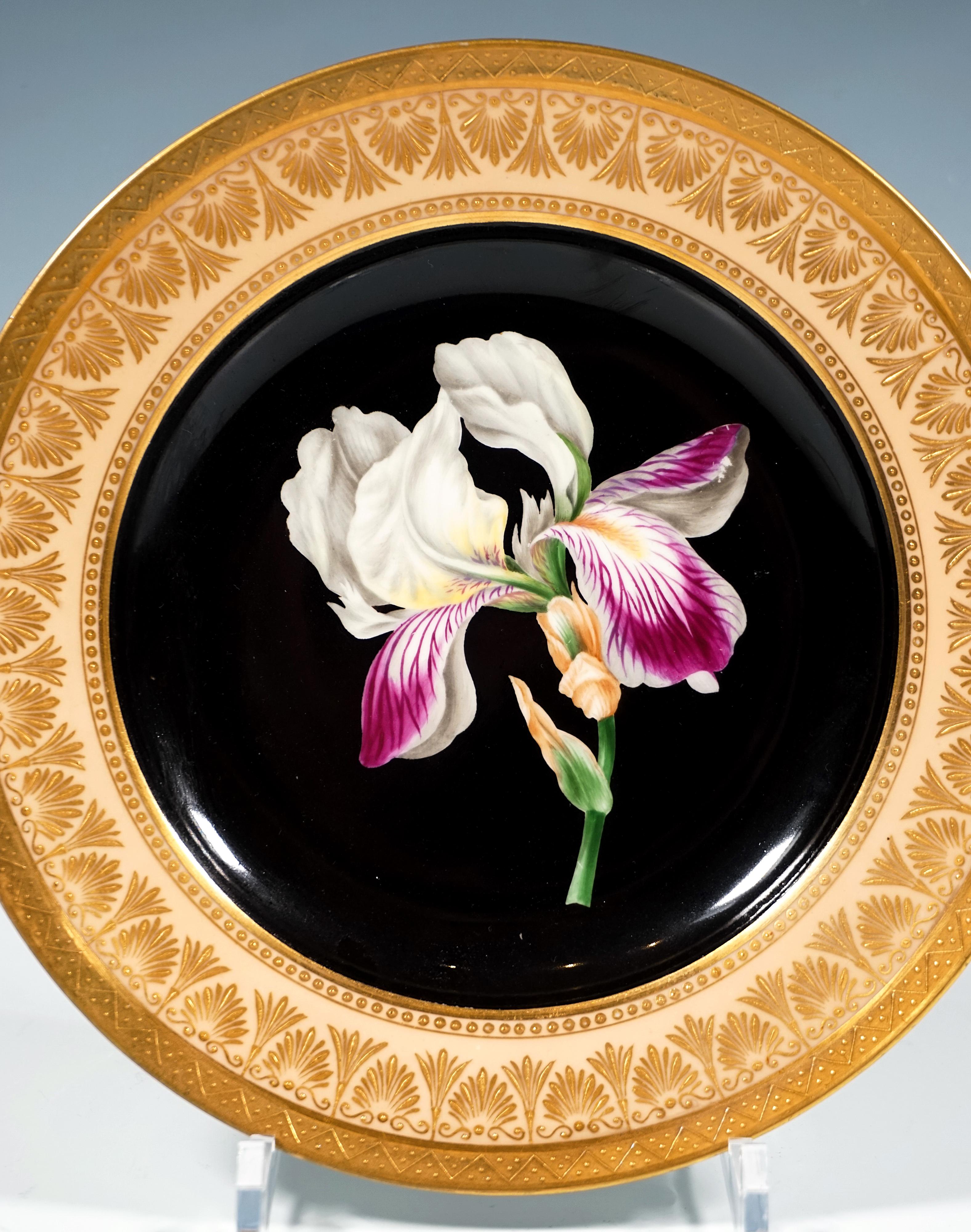 Plato de porcelana con ilustración botánica pintada y policromada:
En el centro, una flor de iris finamente pintada sobre fondo negro. El borde del plato es de color salmón con un ancho borde dorado con decoración dentada empastada, guirnalda de