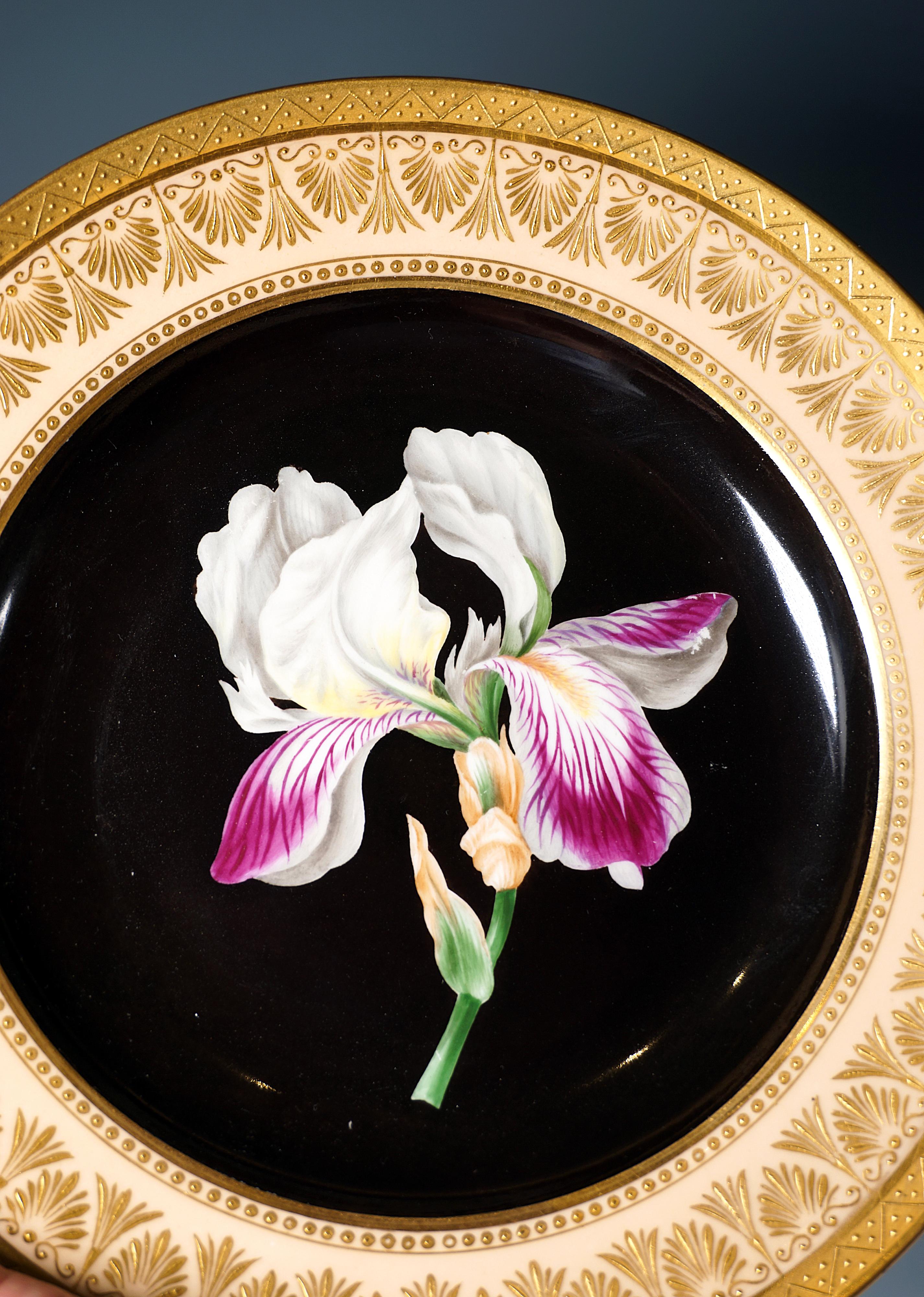 Porcelana imperial vienesa antigua, Plato de esplendor botánico, 