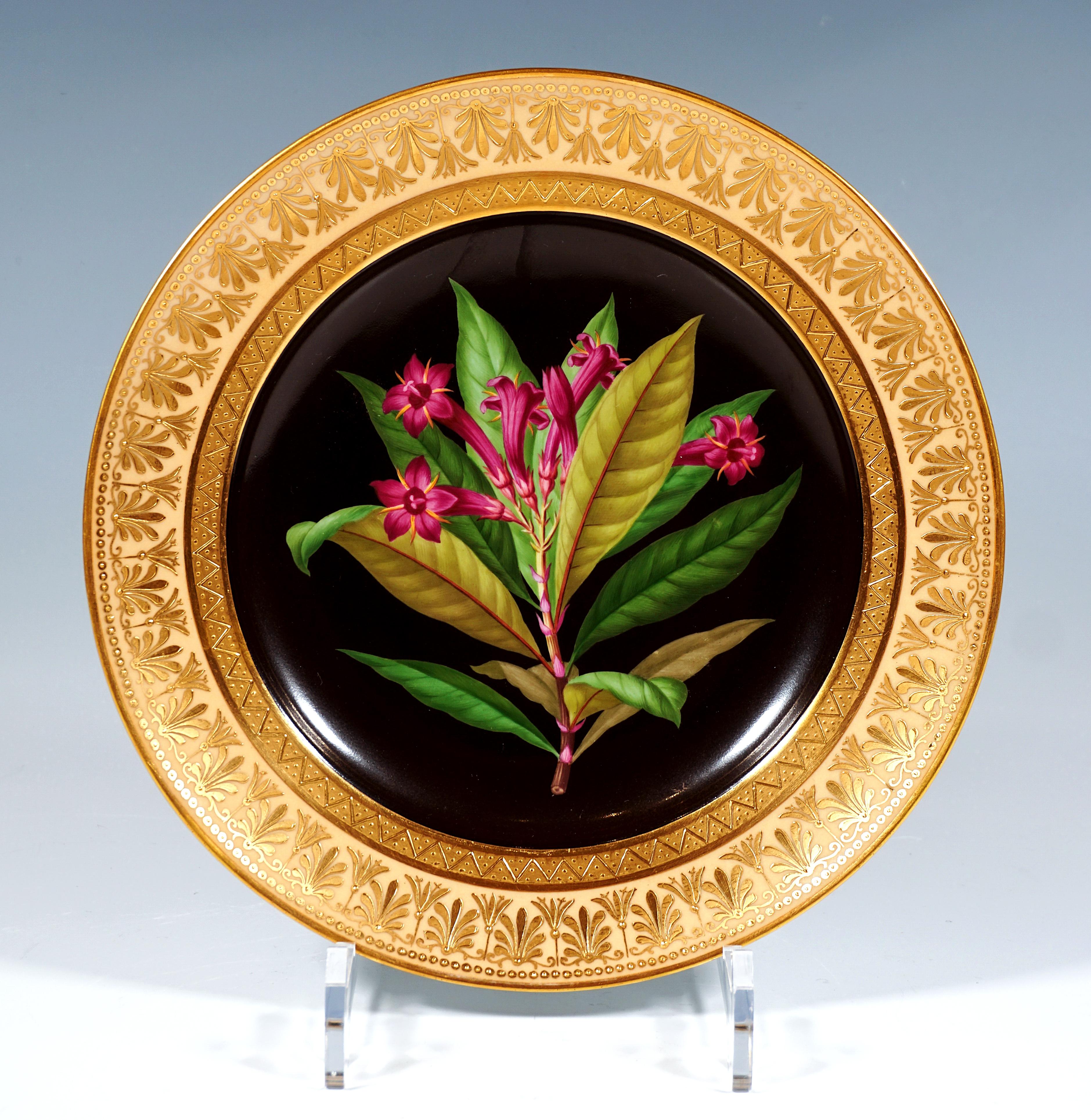 Plato de porcelana con ilustración botánica pintada y policromada:
En el centro, flores de adelfa finamente pintadas en vivos colores con un tallo y un penacho de hojas sobre fondo negro.
El borde es de color salmón con un amplio reborde dorado con