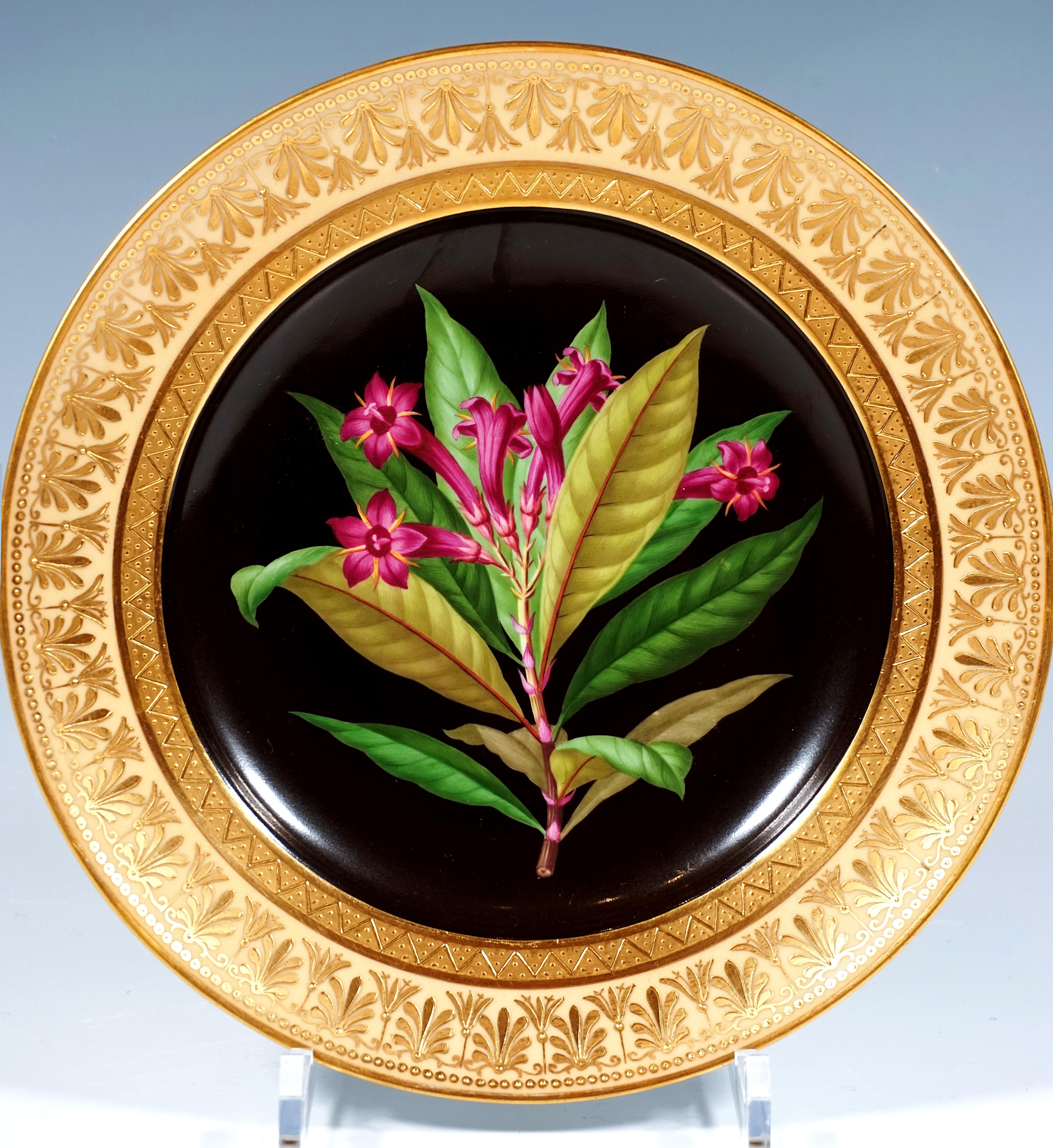 Porcelana imperial vienesa antigua, Plato de esplendor botánico, 
