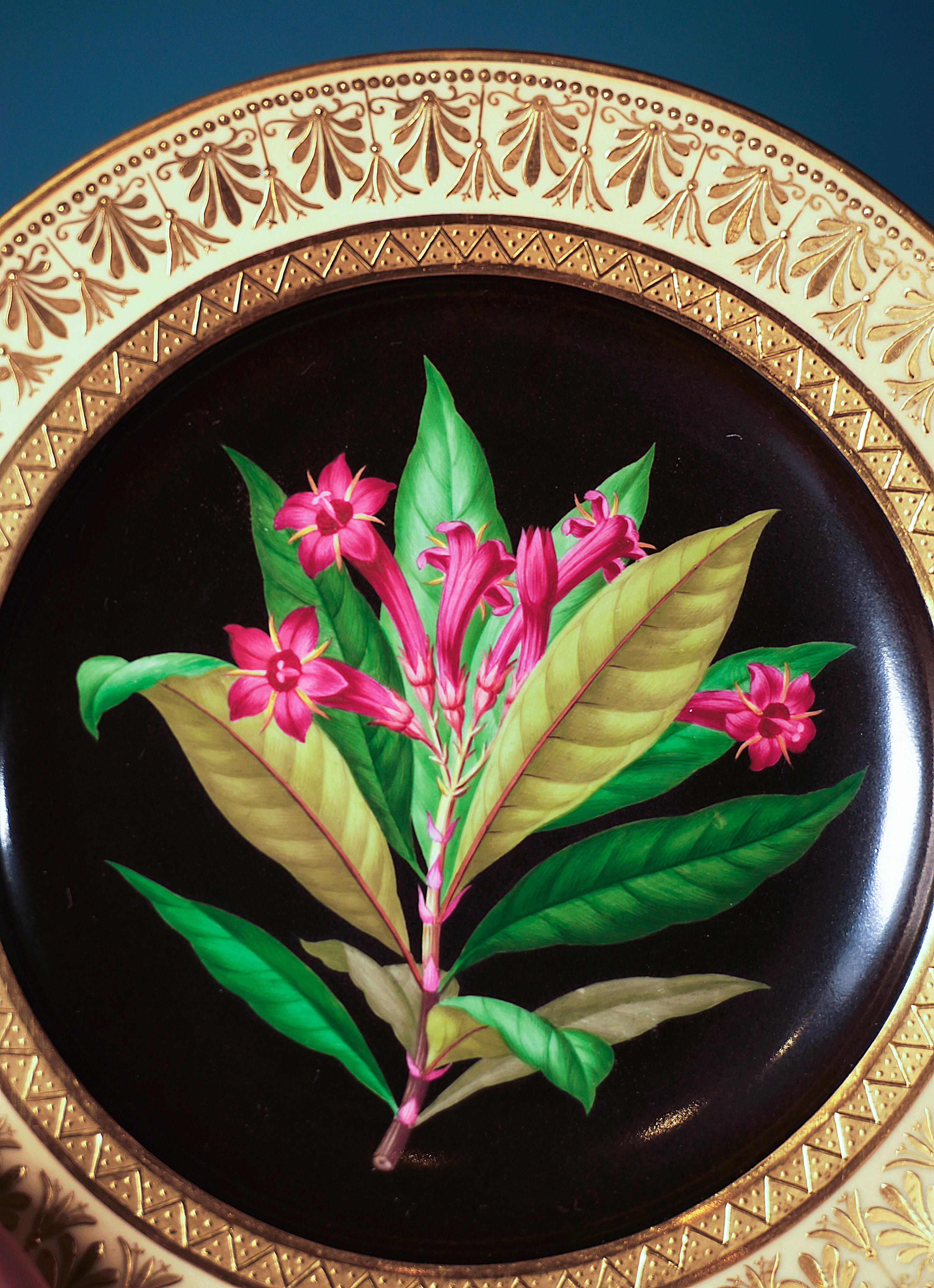 Porcelana imperial vienesa antigua, Plato de esplendor botánico, 