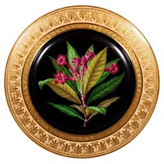 Porcelana imperial vienesa antigua, Plato de esplendor botánico, "Adelfa", 1828