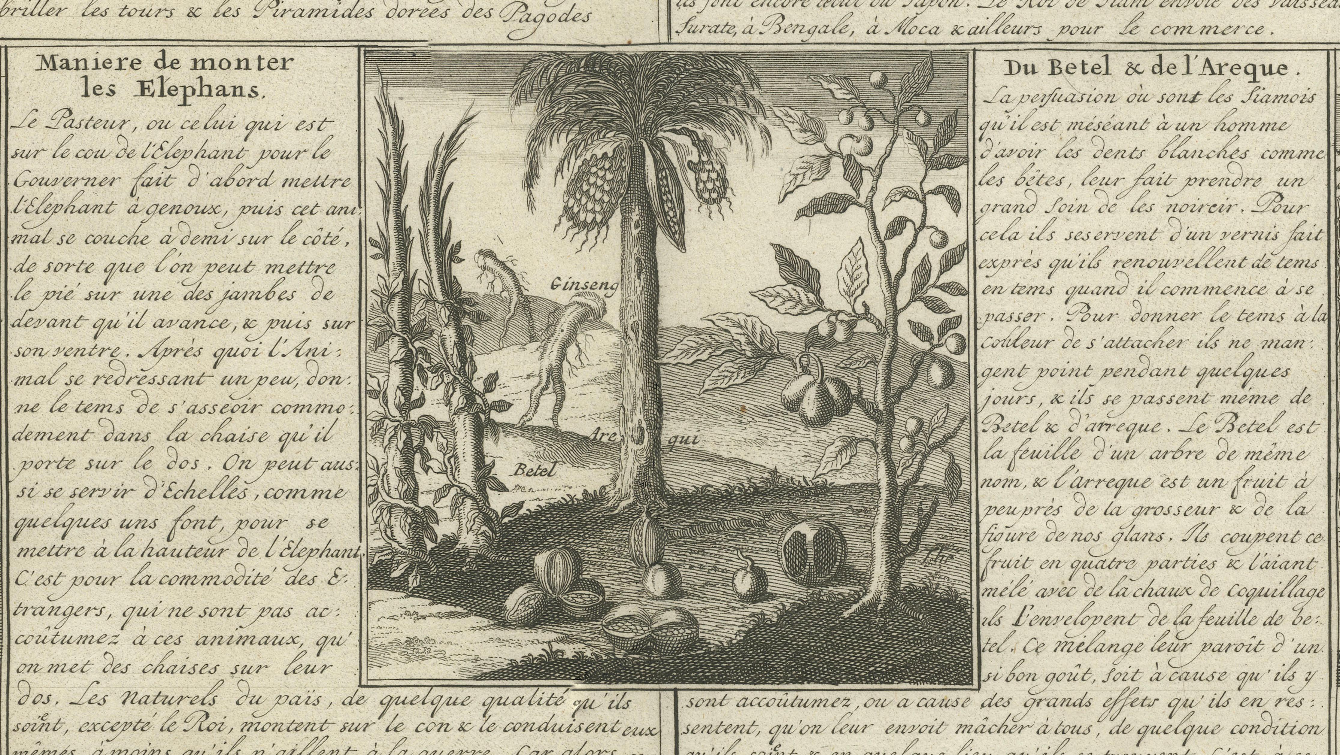 Antique View of Siam — Royal Barges, Elephants & Customs Engraving, ca.1720