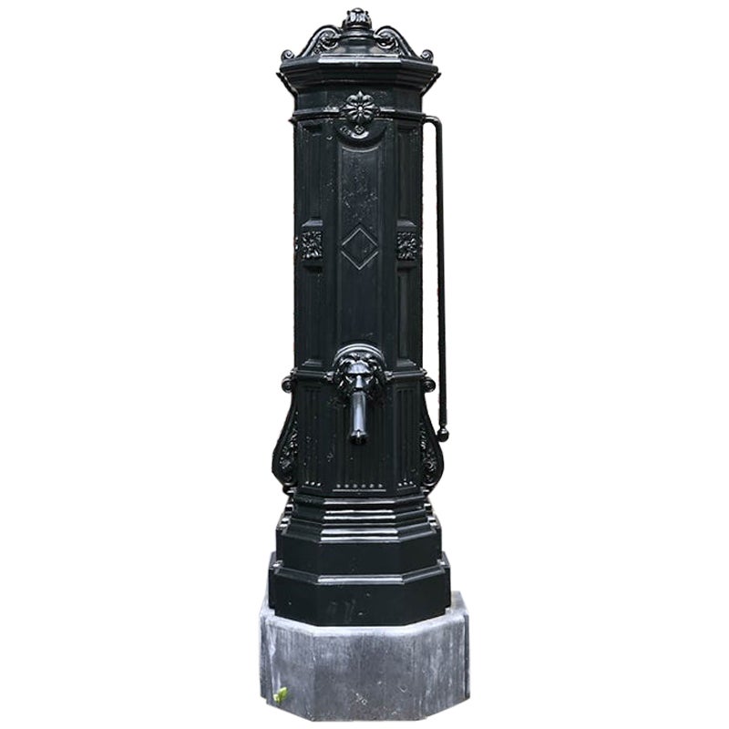 Antique Village Pump 19th Century