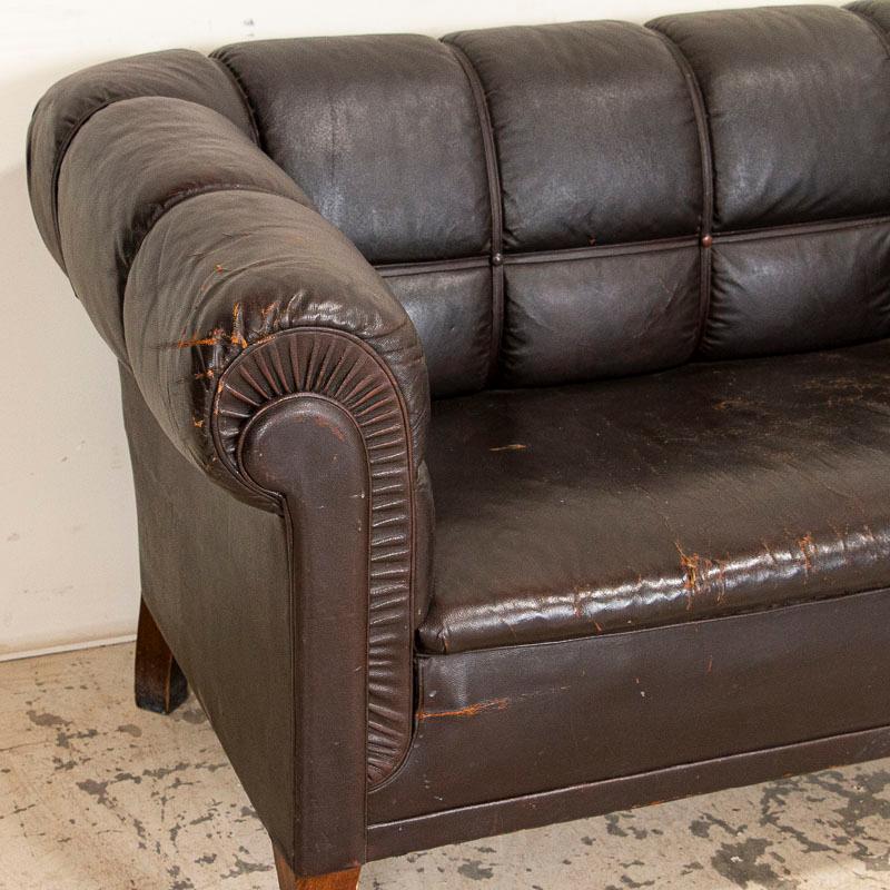 Antique Vintage Brown Leather Sofa, Denmark 4