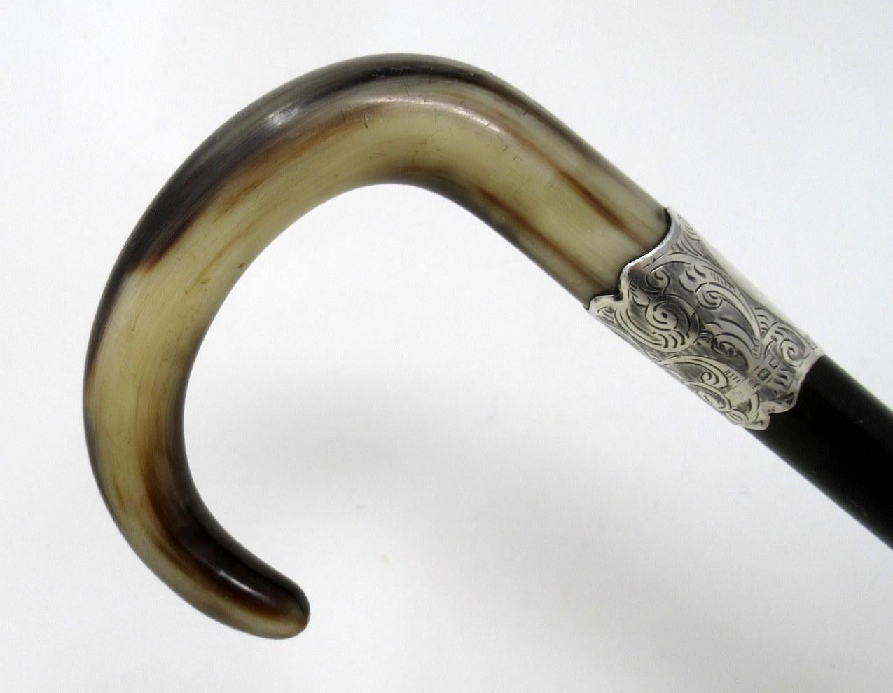 ebony walking stick with silver handle