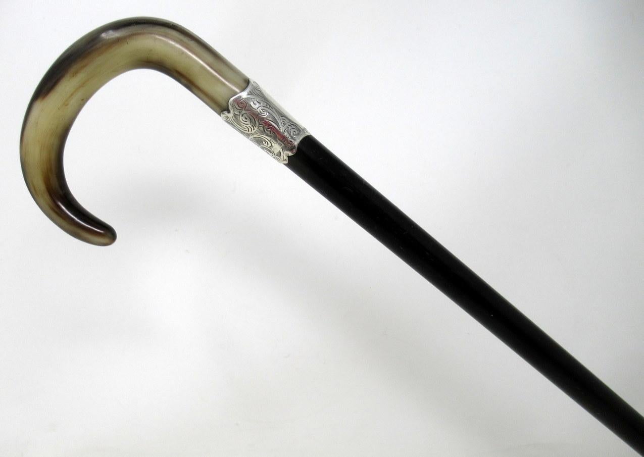 Fine quality polished ebony wood traditional bovine polished cow horn crook handled ladies or gentleman’s walking cane with highly decorative embossed sterling silver collar with vacant oval cartouche, first quarter of the 20th