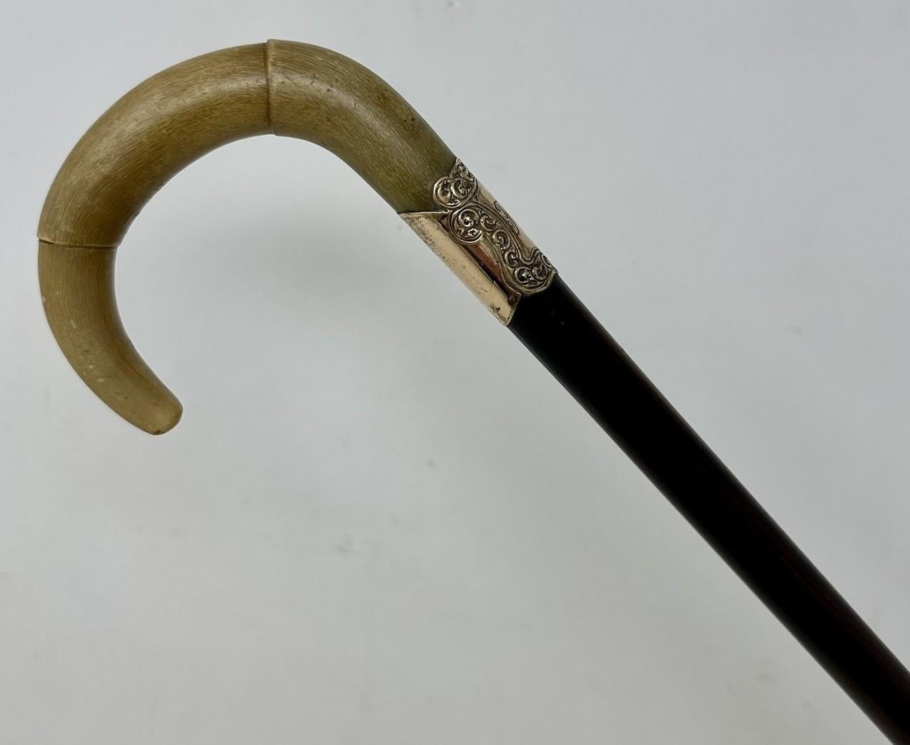 Victorian Antique Vintage English Walking Stick Cane Wooden Gold Plated Cow Horn Handle  For Sale