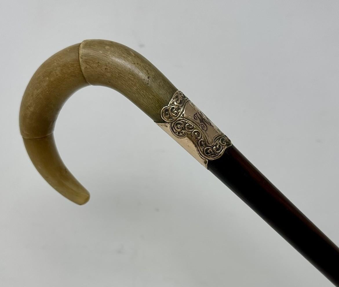British Antique Vintage English Walking Stick Cane Wooden Gold Plated Cow Horn Handle  For Sale