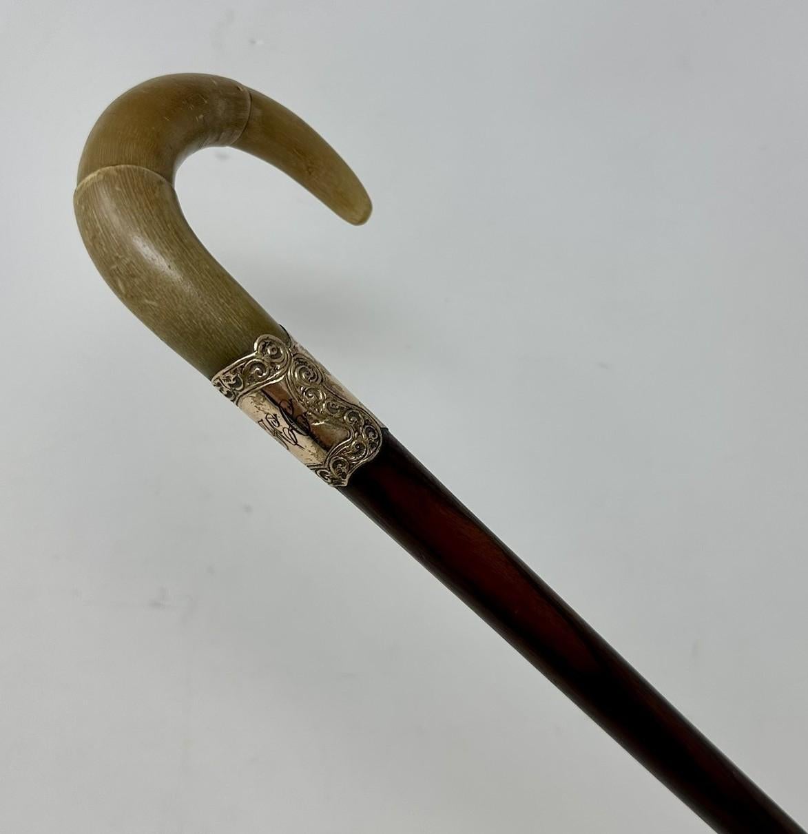 Carved Antique Vintage English Walking Stick Cane Wooden Gold Plated Cow Horn Handle  For Sale