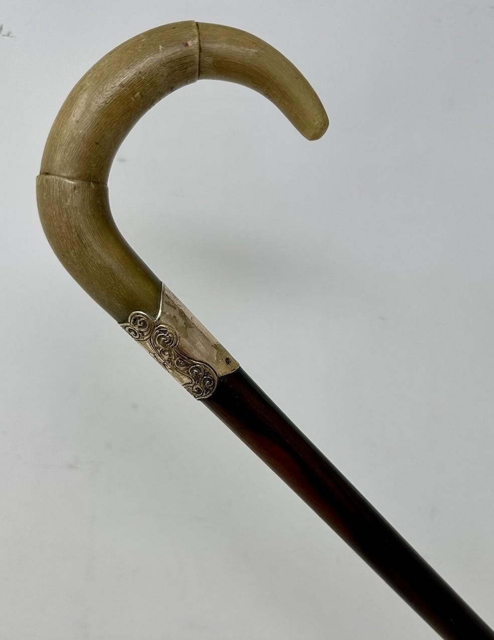 Antique Vintage English Walking Stick Cane Wooden Gold Plated Cow Horn Handle  In Good Condition For Sale In Dublin, Ireland