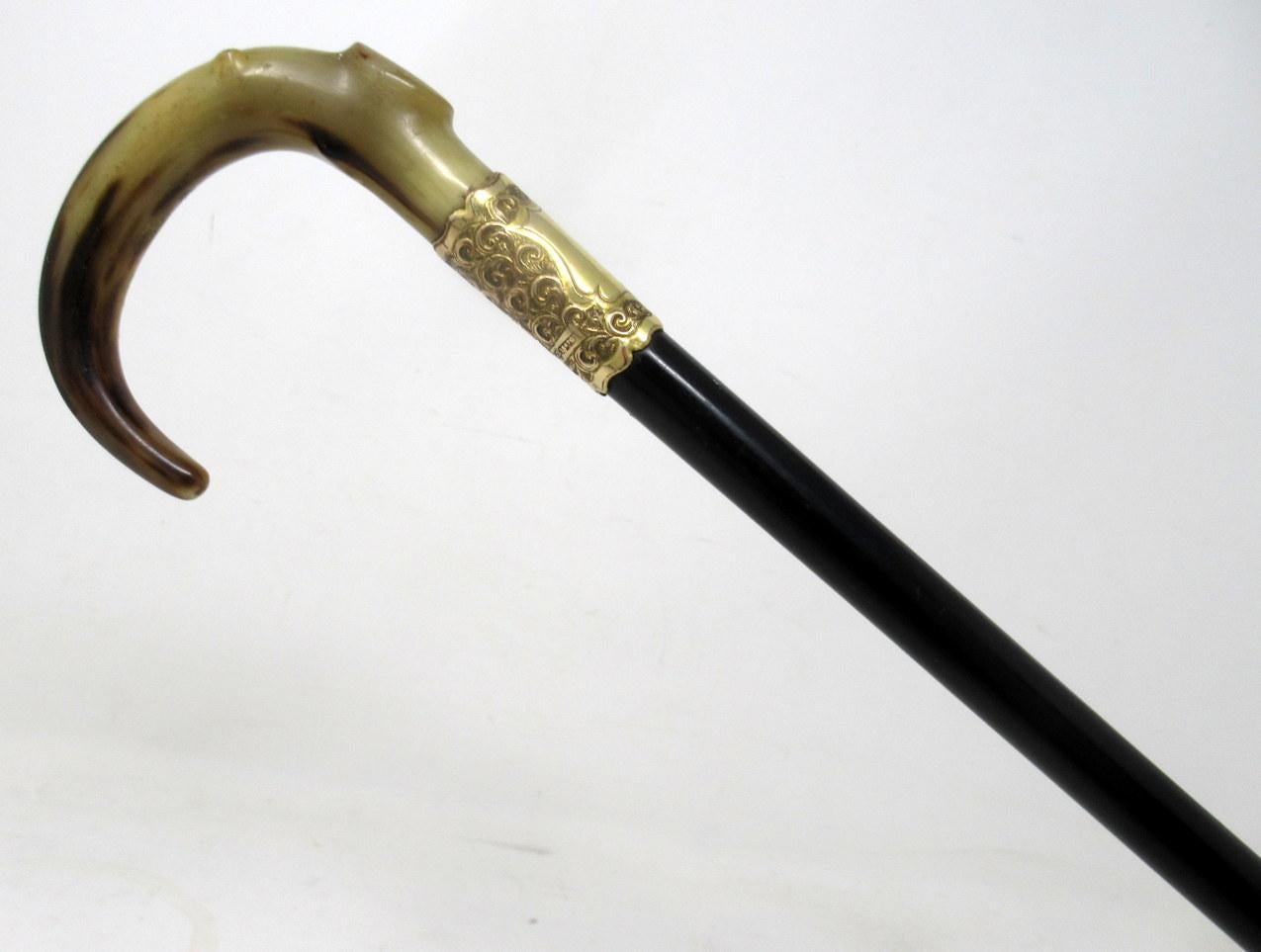 Very stylish fine quality lady’s or gentleman’s ebonised wooden walking cane with an elegant decoratively carved classical Cow Horn Crook handle above a finely chased gold plated collar with a central vacant cartouche. First quarter of the Twentieth