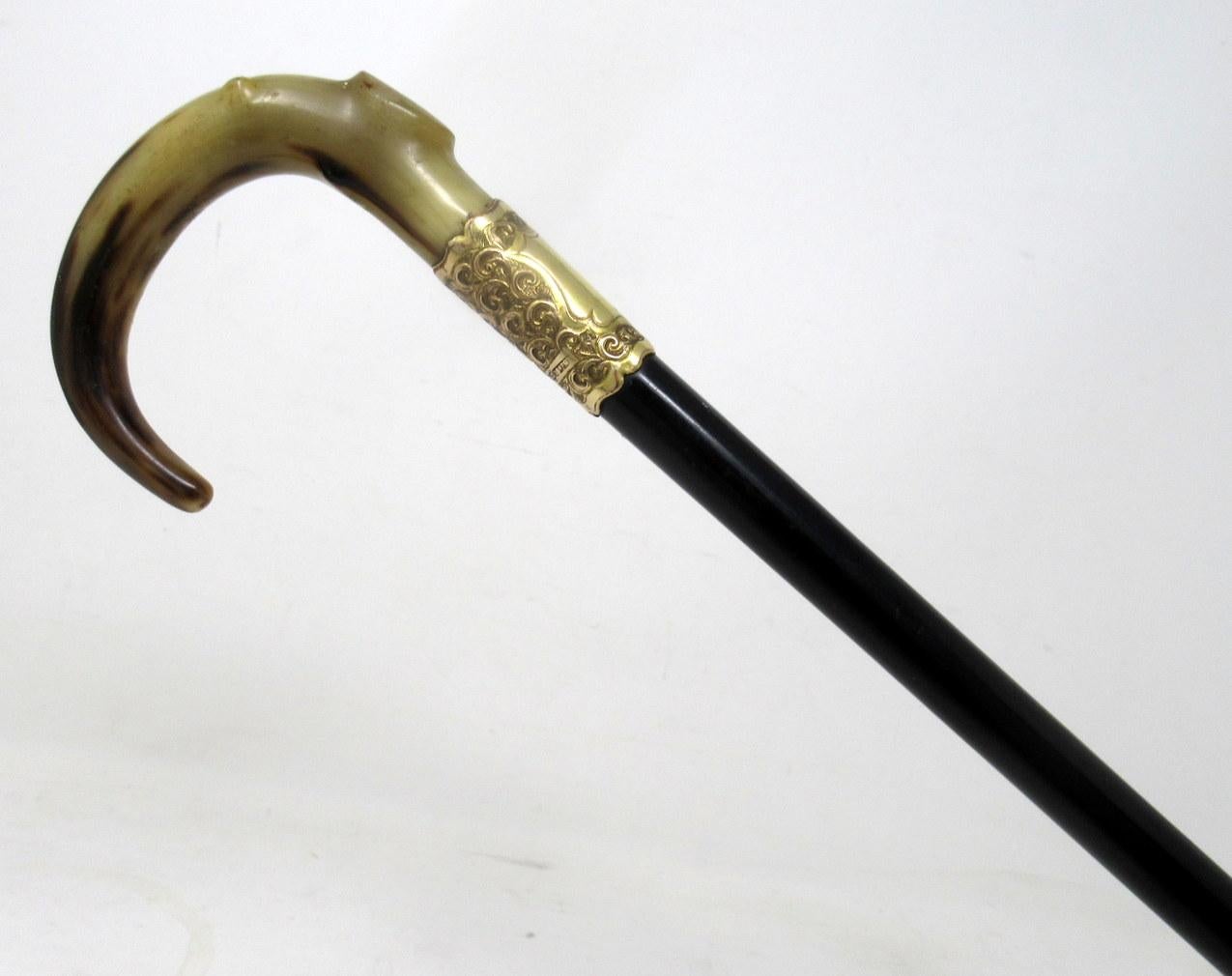 Edwardian Antique Vintage Ladies Gentleman's Walking Stick Gold Plated Cow Horn Handle