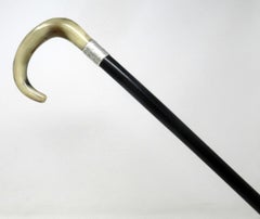 Antique Vintage Ladies Walking Stick Sterling Silver Collar Cow Horn Handle 1936
