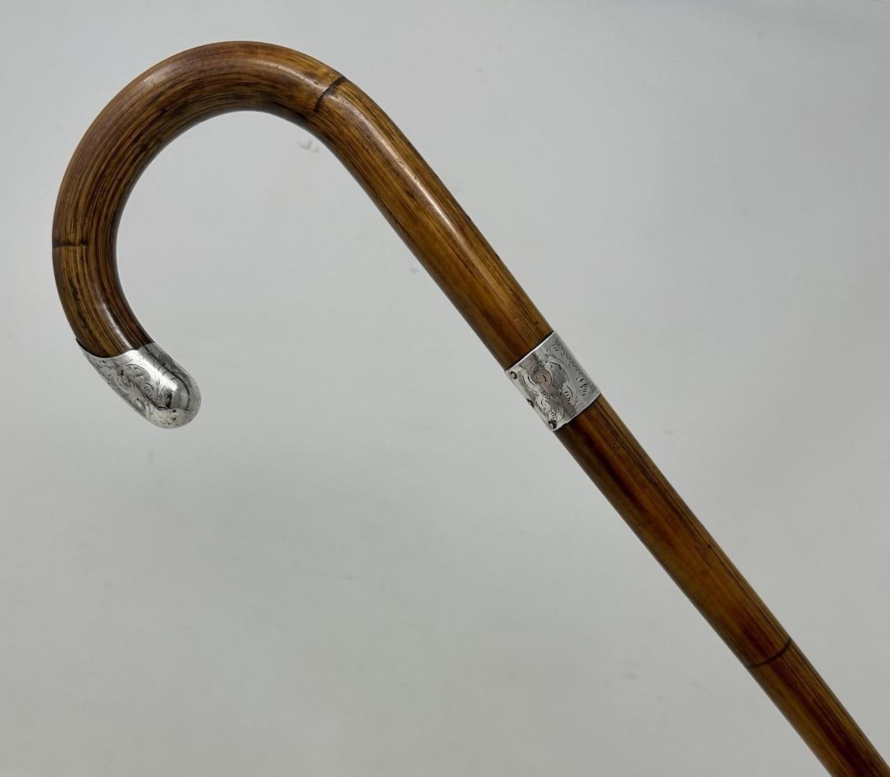 Stylish well grained Stepped Partridge Wood ladies or gentleman's walking stick with crook handle and ornate chased sterling silver collar and mount, first Quarter of the 20th Century. 

Partridge Wood is a strong tropical wood from the Western